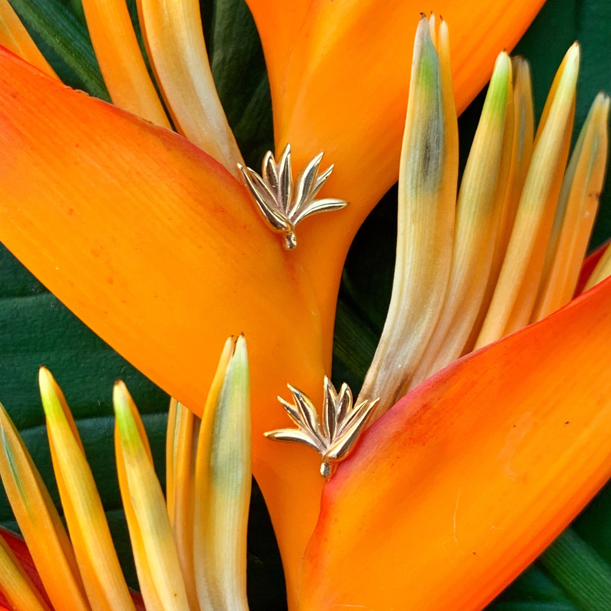 Bird of Paradise Stud Earrings : Sterling silver or Gold Vermeil Hawaiian jewelry