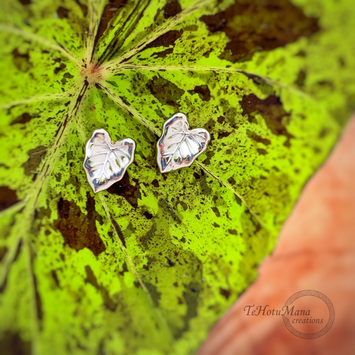 Taro Leaf Stud Earrings in sterling silver