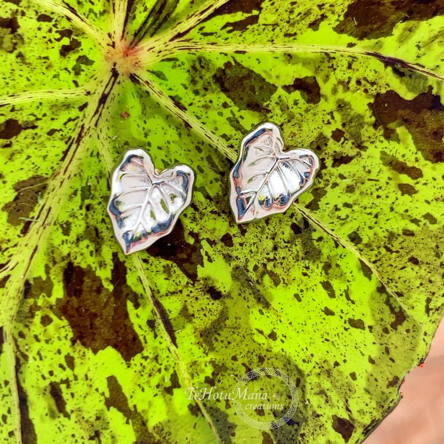 Taro Leaf Stud Earrings in sterling silver