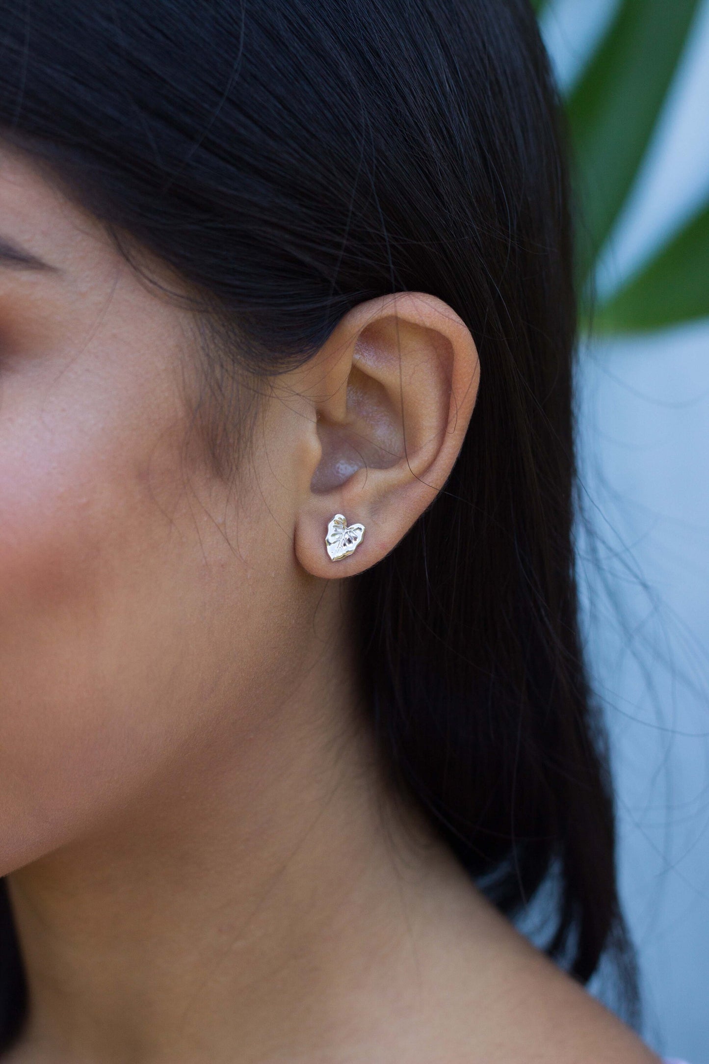 Taro Leaf Stud Earrings in sterling silver