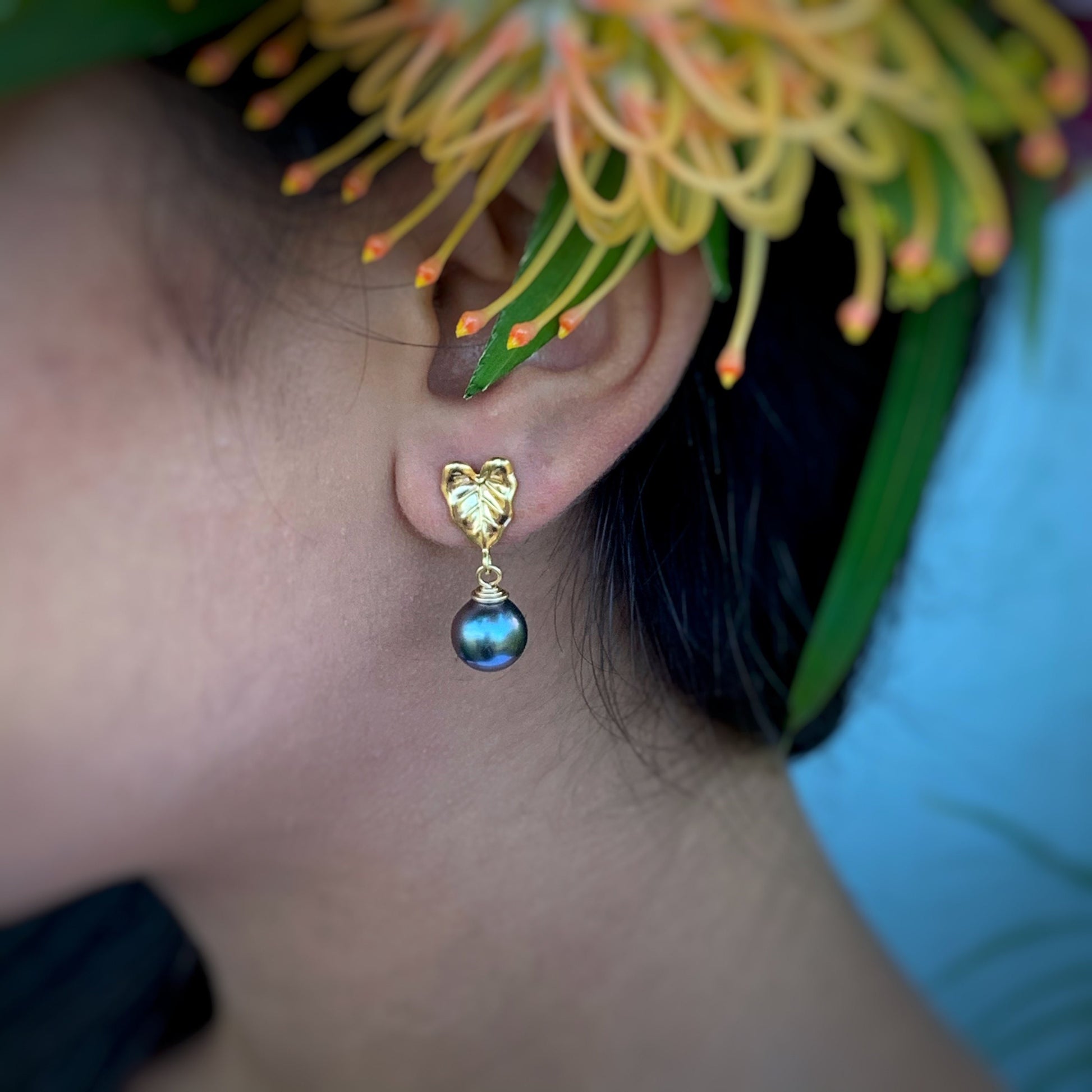 Tahitian pearl earrings • Kalo studs • Hawaiian design • Gold Taro leaf