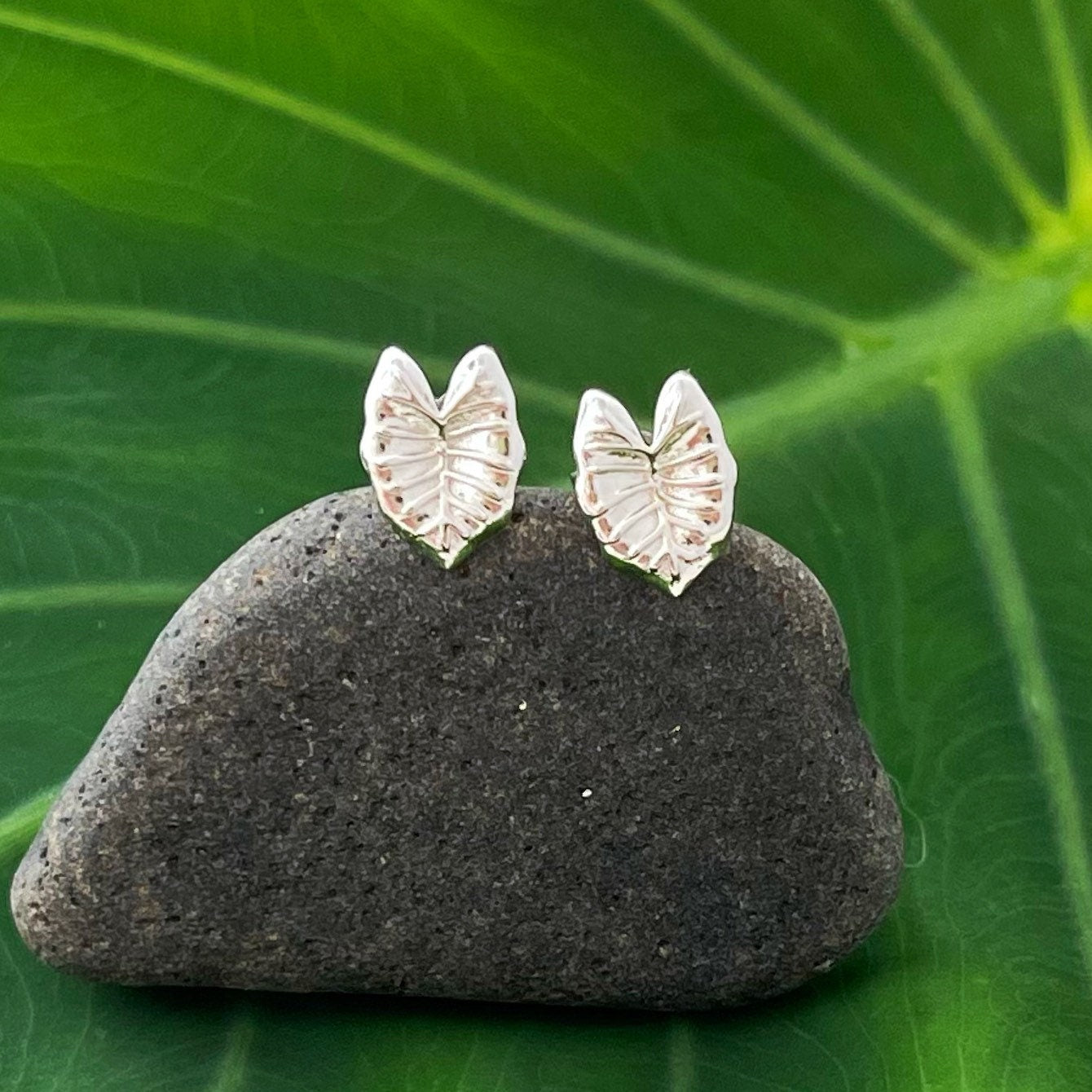 Kalo Leaf Earrings – Hawaiian Taro Studs, Nature-Inspired Jewelry, Tropical Elegance