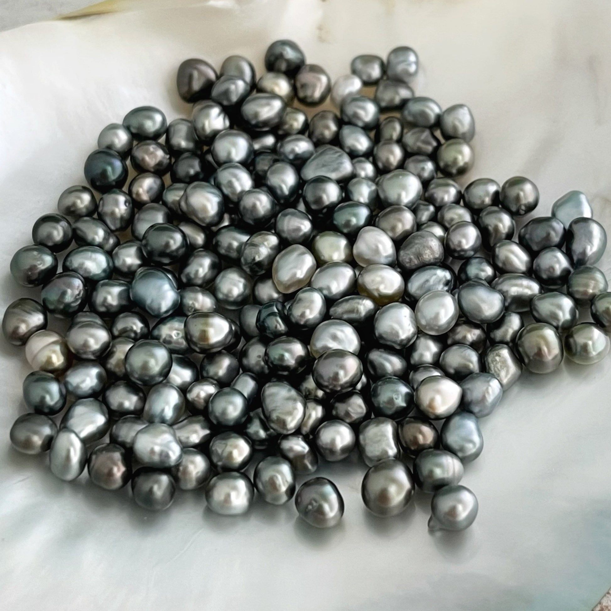 Tahitian Keshi Pearl Bracelet: Sterling Silver or Gold-Filled Chain