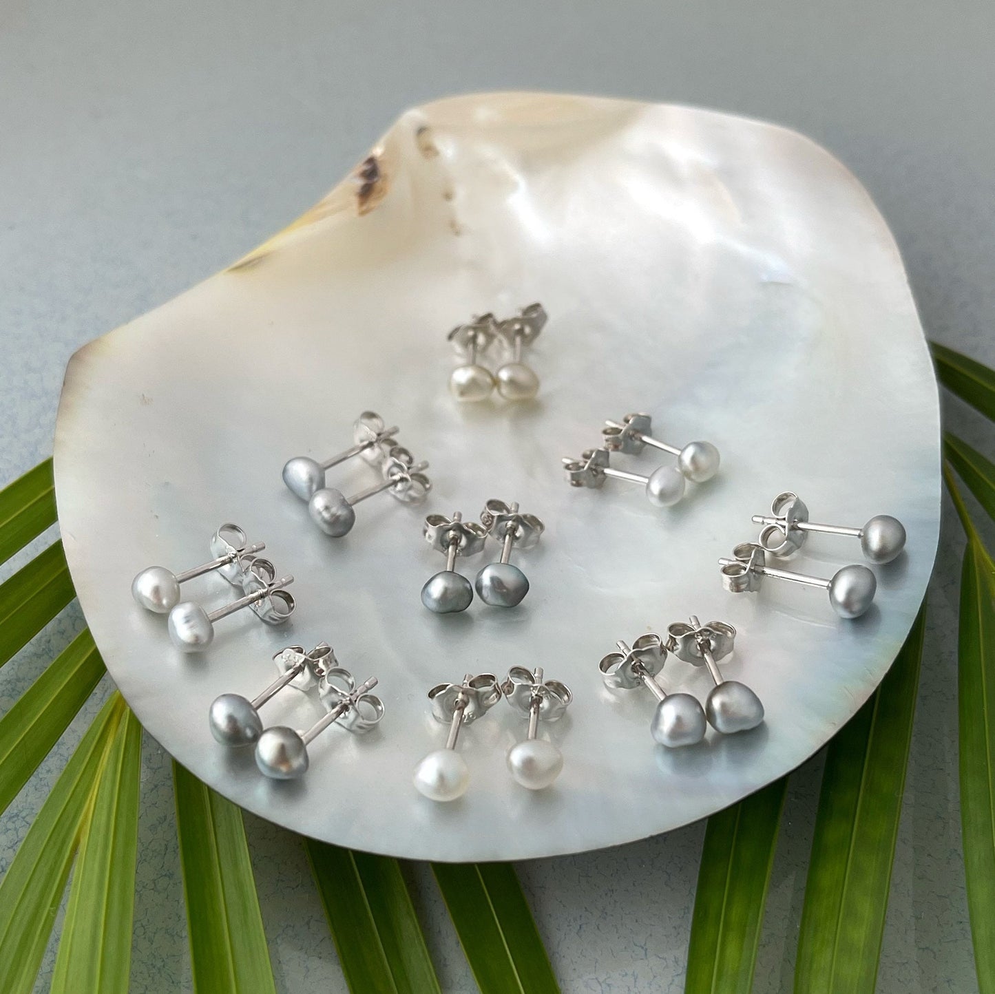 Tahitian Keshi Pearl Stud Earrings : Sterling Silver