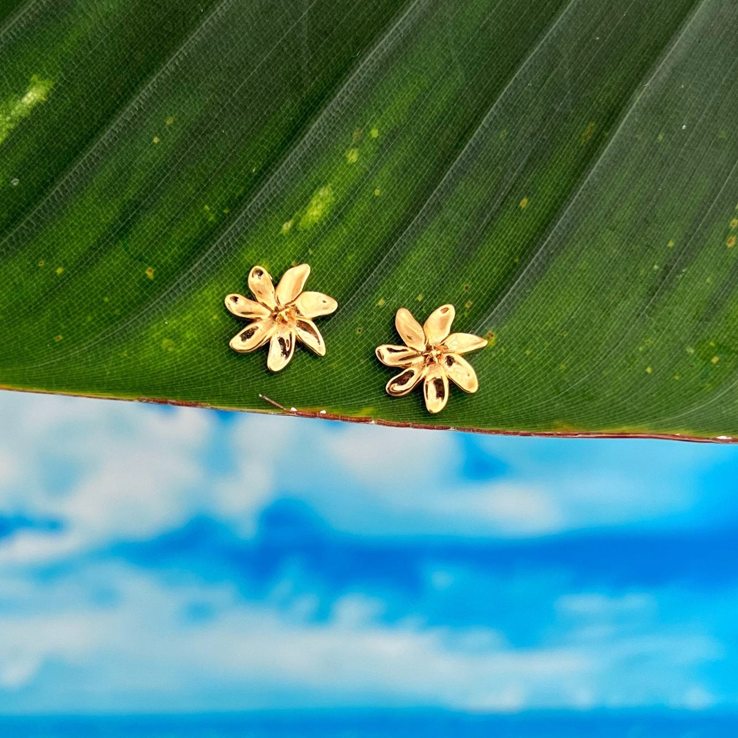 Tiare Flower Stud Earrings: Gold plated Hawaiian Jewelry