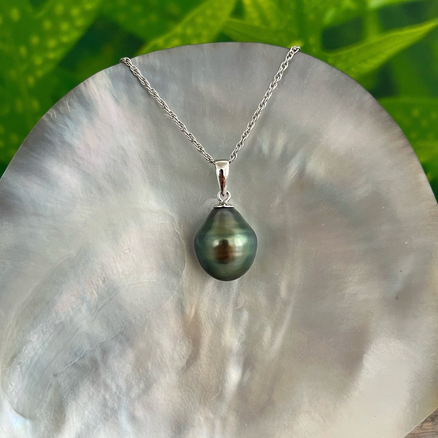 12.2mm+ Peacock Tahitian Pearl Pendant, tahitian pearl necklace , black pearl necklace , black pearl pendant , peacock tahitian pearl .