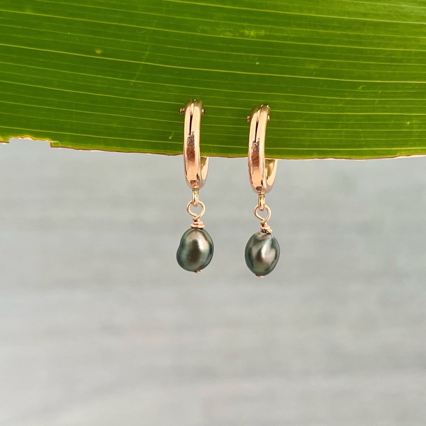 Tahitian Keshi Pearl Hoop Earrings: 14k Rose Gold Filled