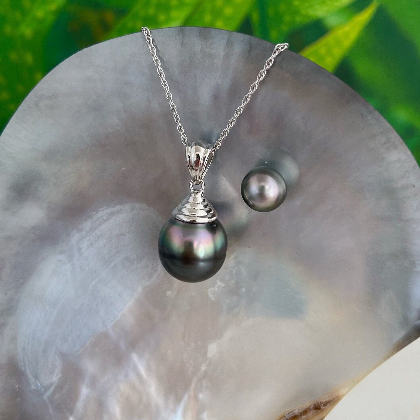 DOORBUSTER Large Near Flawless and Colorful Tahitian Pearl Pendant