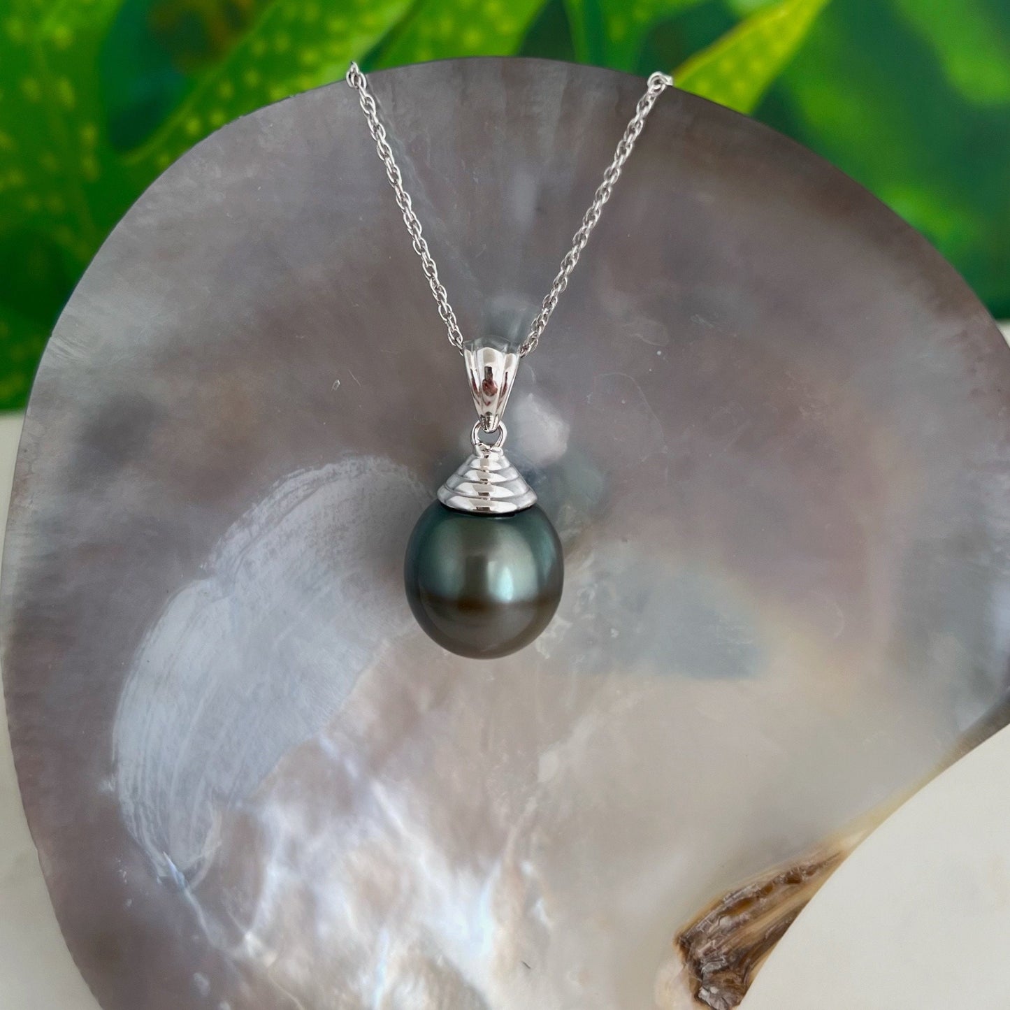 DOORBUSTER Tahitian Pearl Pendant • big 15mm black pearl • rare jewelry in sterling silver