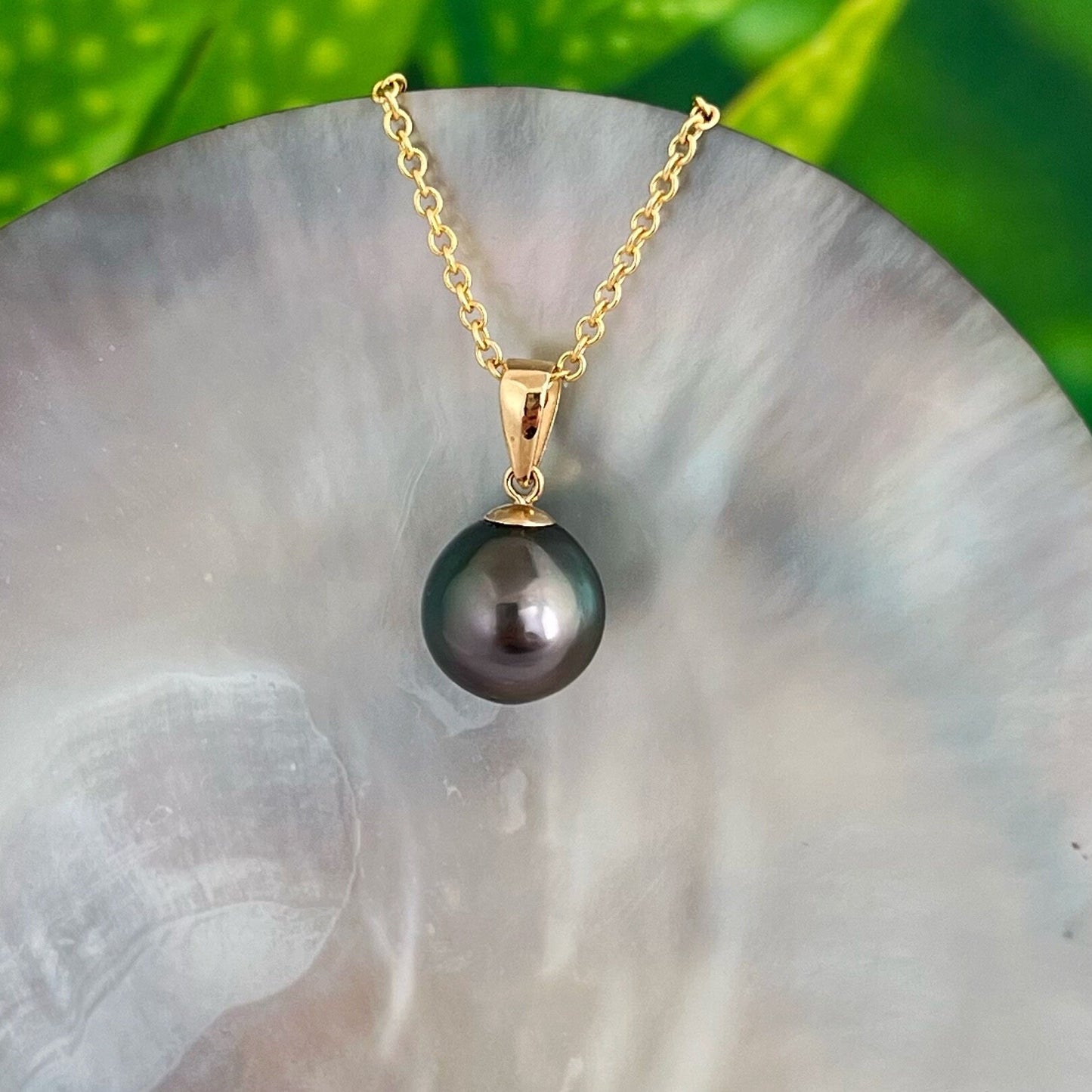 Peacock Tahitian Pearl Pendant: Solid Gold • Minimalist Necklace, Colorful Overtone