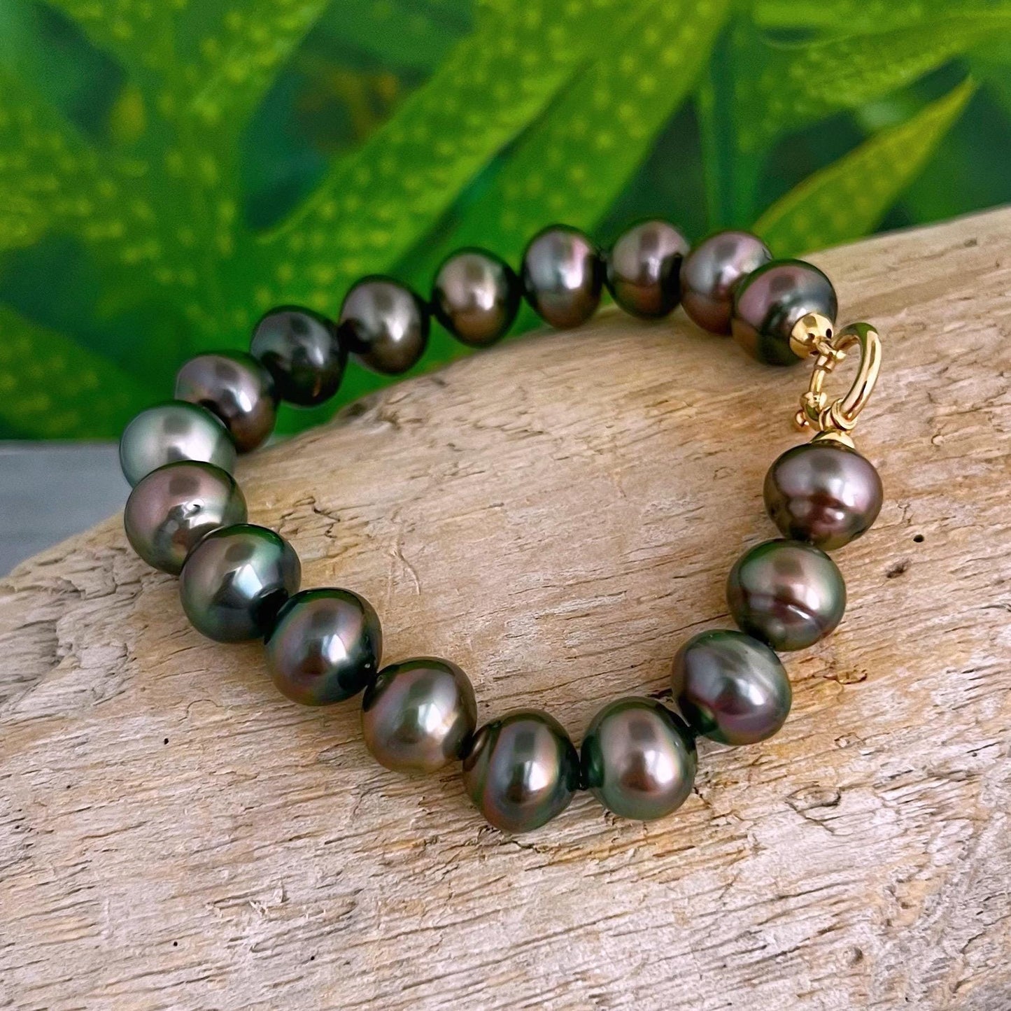 EXQUISITE Tahitian Pearl Bracelet • solid 9kt Gold clasp • Peacock colors • Aubergine