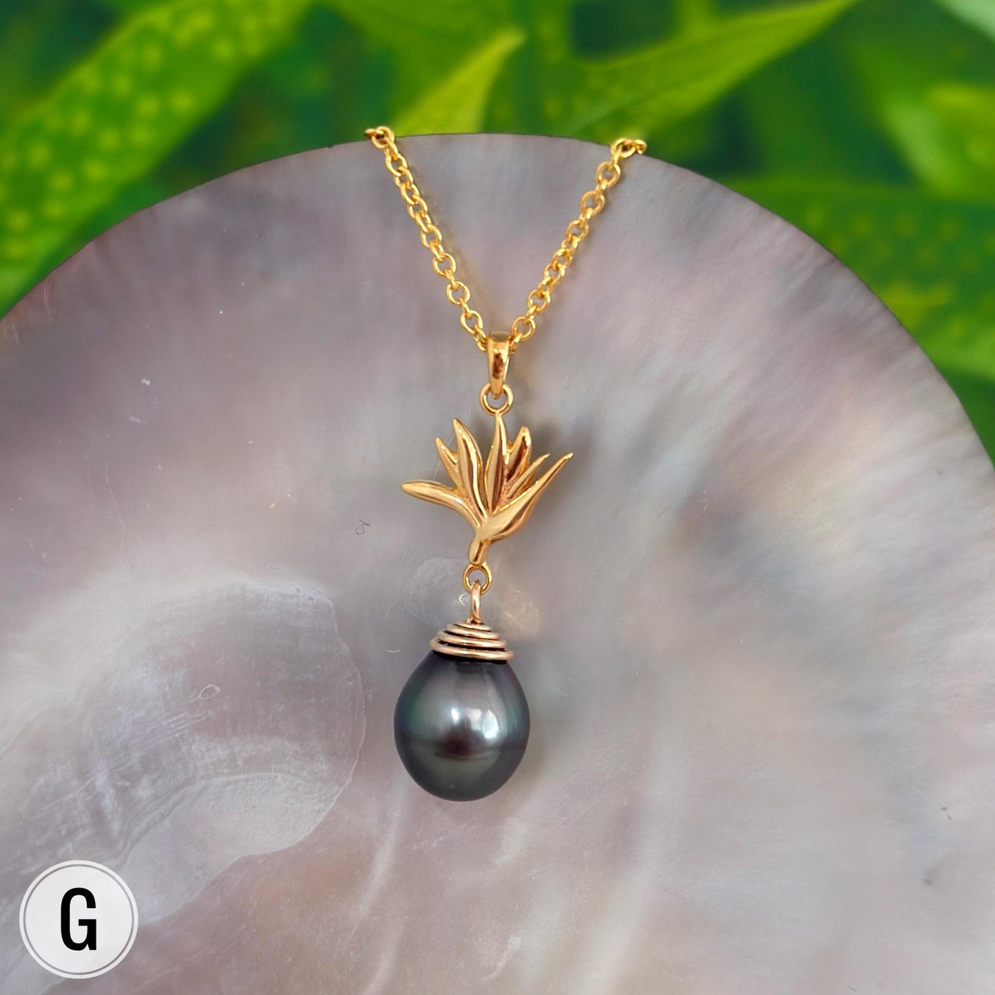 Tahitian Pearl Pendant – Bird of Paradise Flower Necklace • Gold vermeil