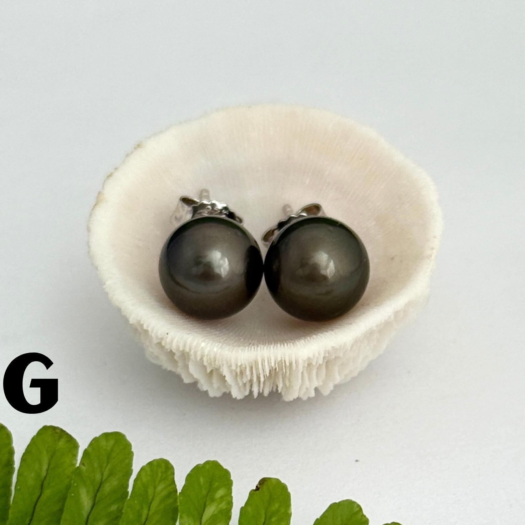 Tahitian pearl stud earrings • classic everyday jewelry • sterling silver