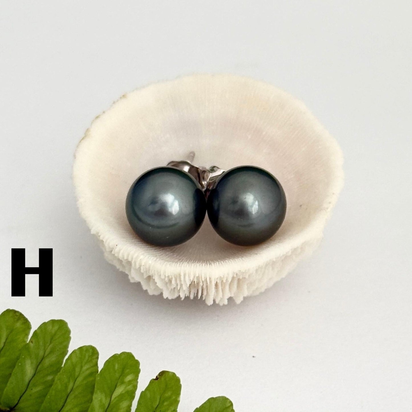 Tahitian pearl stud earrings • classic everyday jewelry • sterling silver