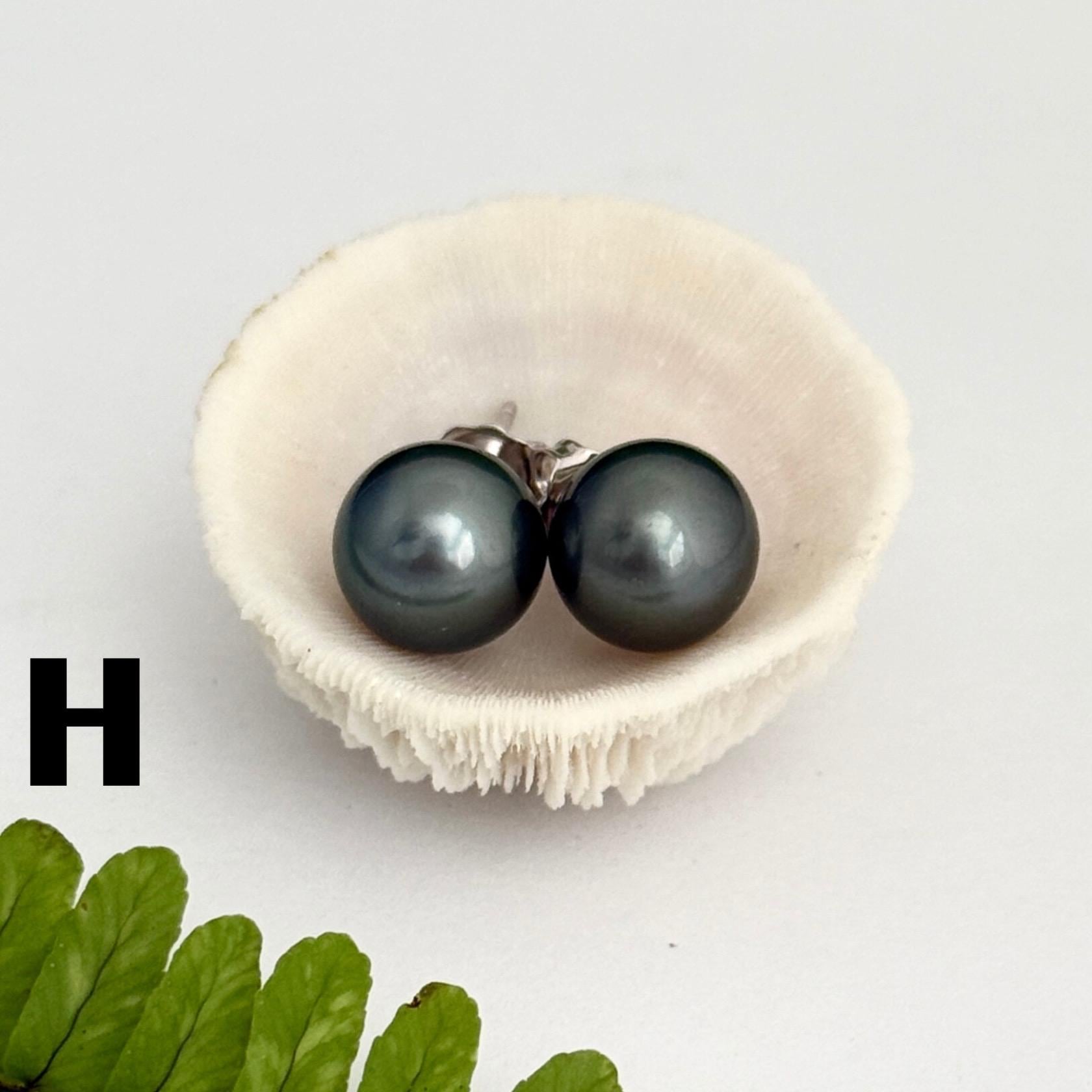 Tahitian pearl stud earrings • classic everyday jewelry • sterling silver