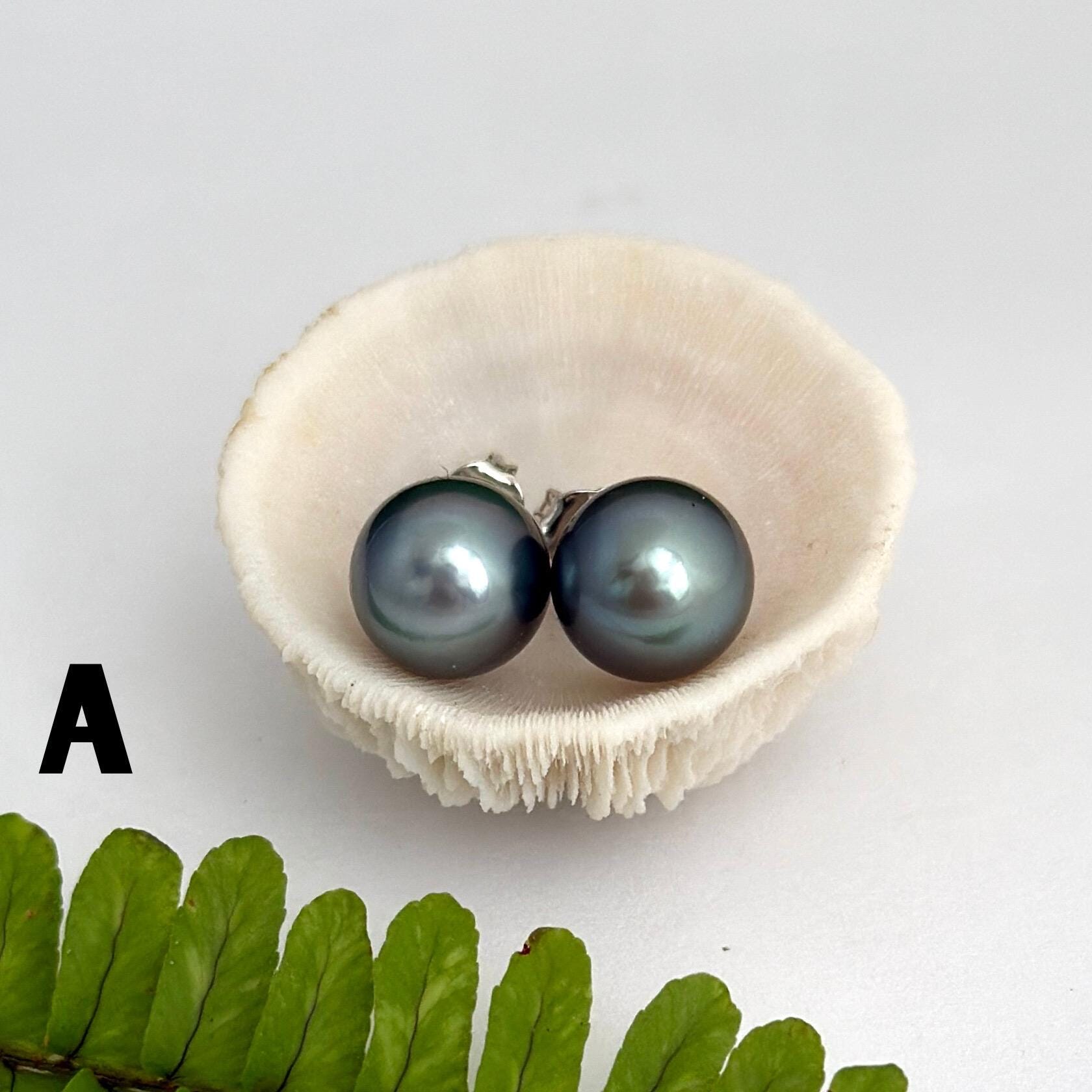 Tahitian pearl stud earrings • classic everyday jewelry • sterling silver
