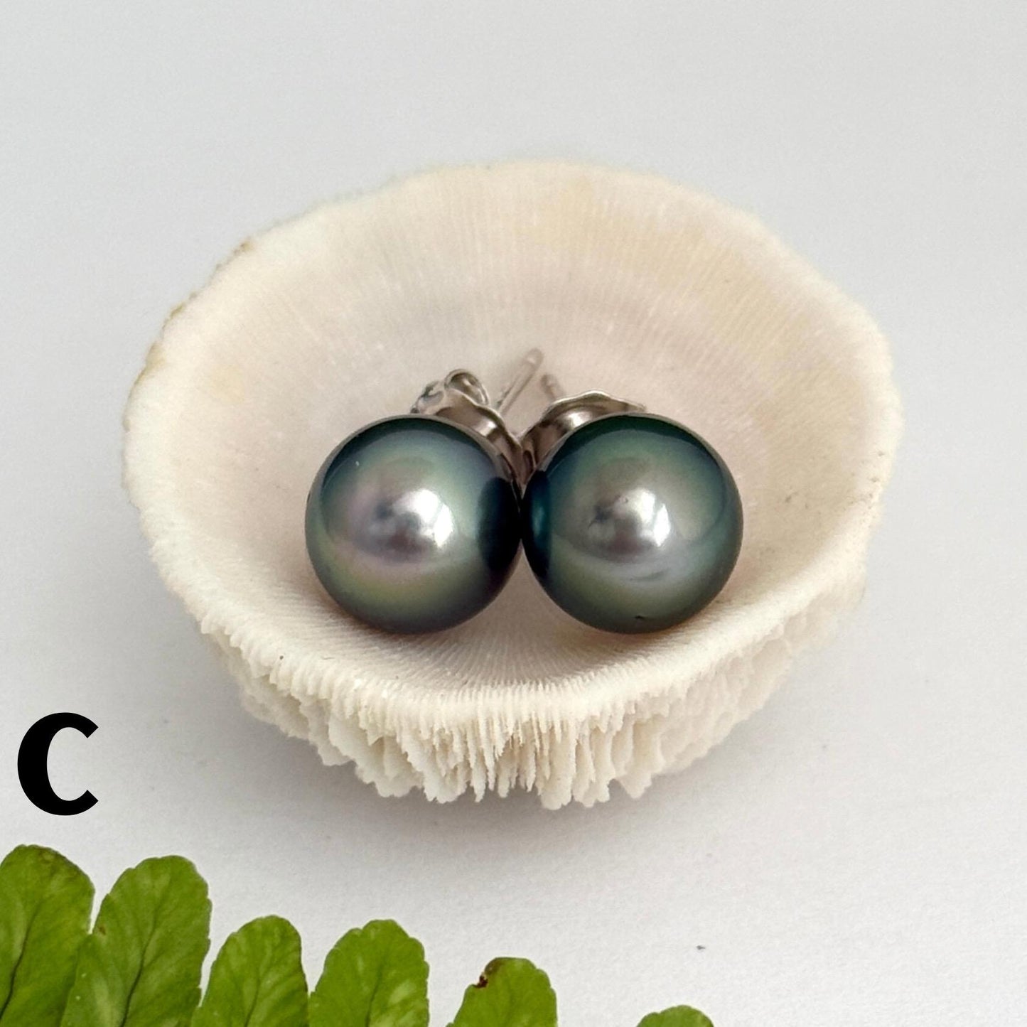 Tahitian pearl stud earrings • classic everyday jewelry • sterling silver