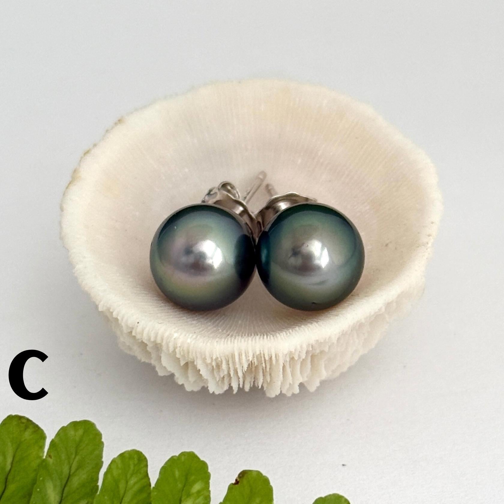 Tahitian pearl stud earrings • classic everyday jewelry • sterling silver