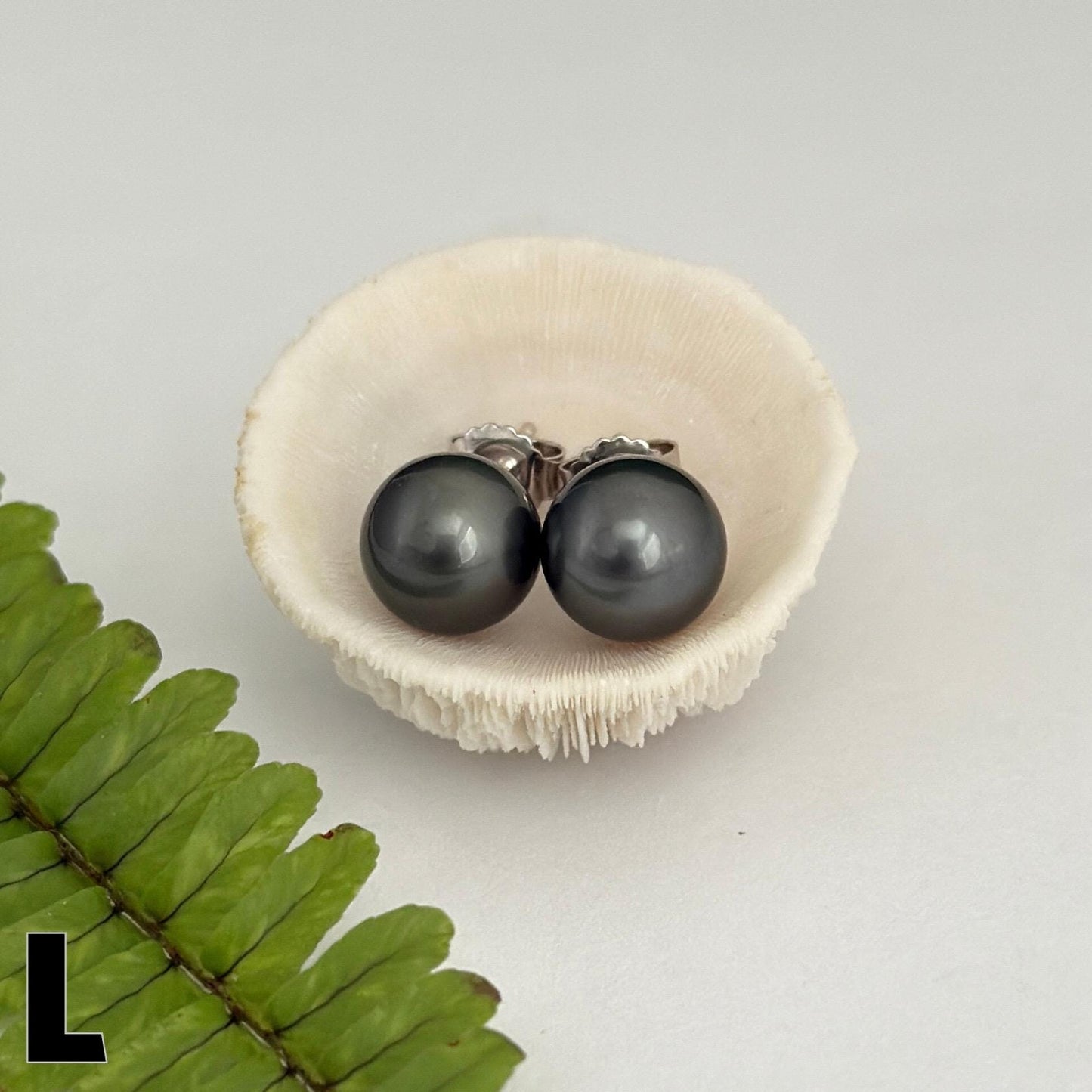 Tahitian pearl stud earrings • casual everyday jewelry • sterling silver