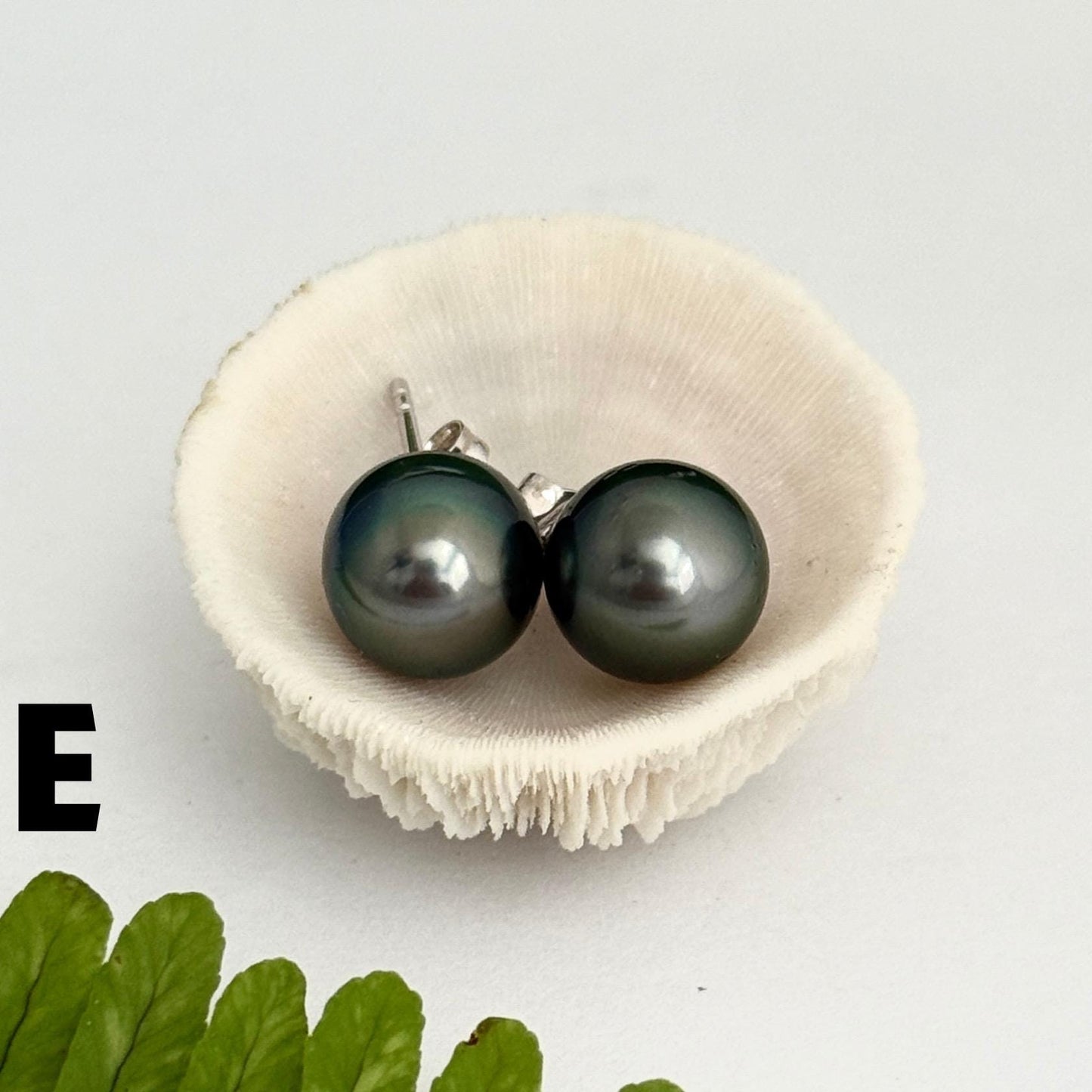 Tahitian pearl stud earrings • classic everyday jewelry • sterling silver