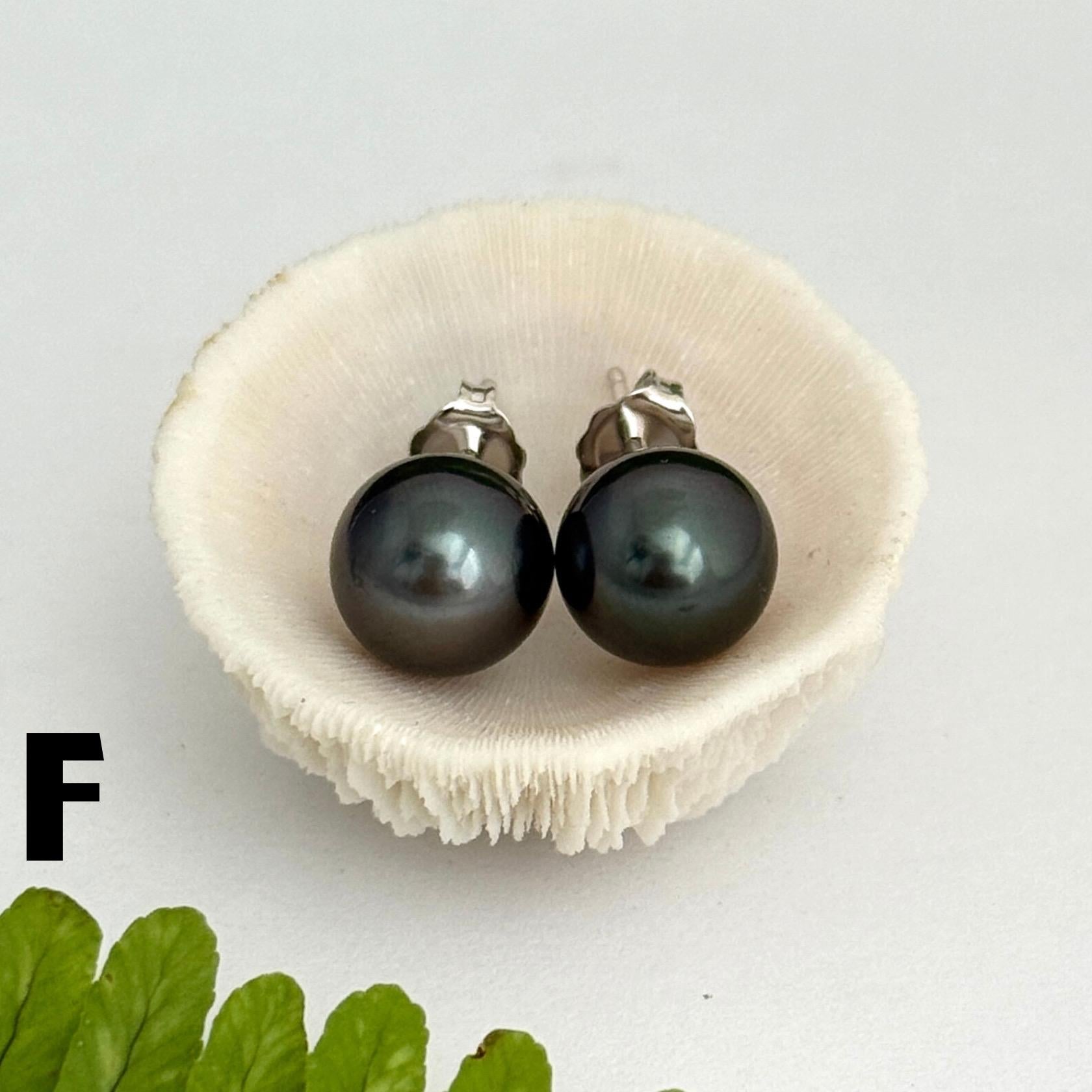 Tahitian pearl stud earrings • classic everyday jewelry • sterling silver