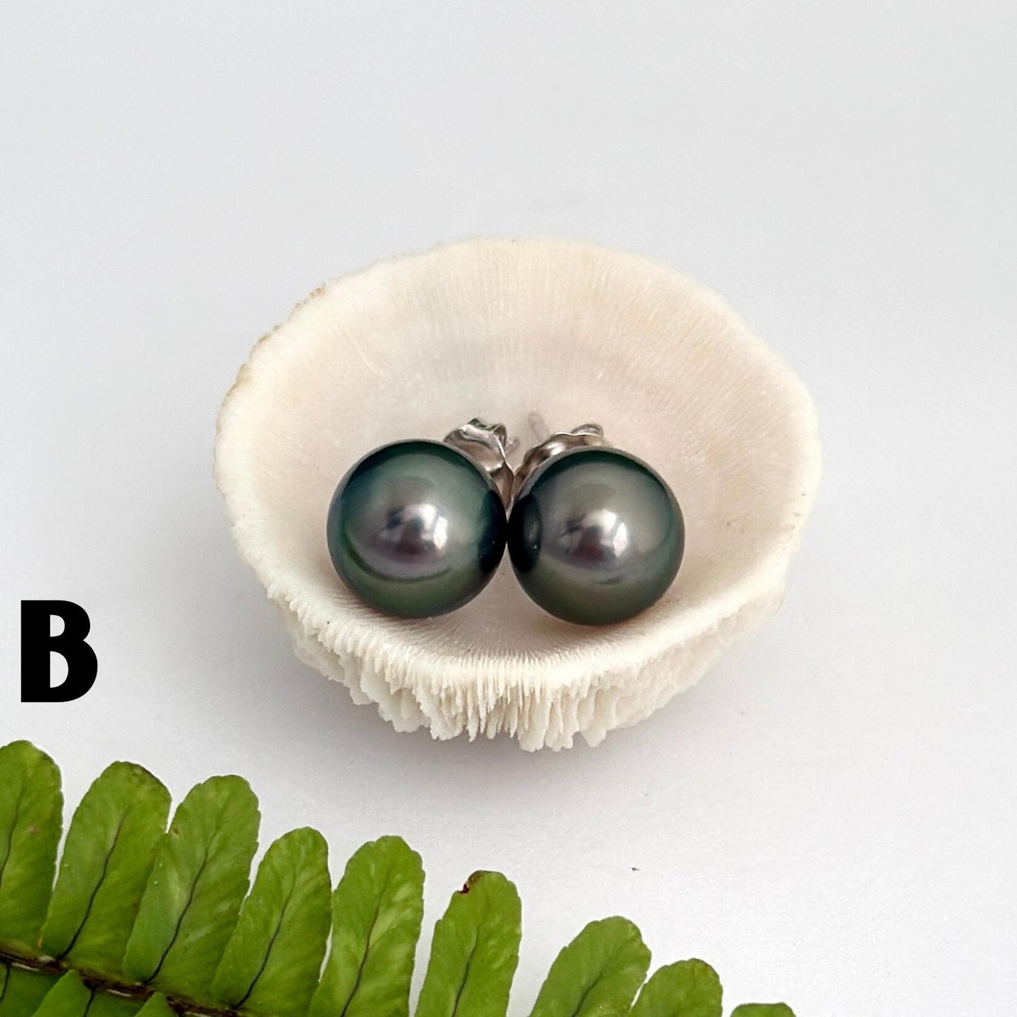 Tahitian pearl stud earrings • classic everyday jewelry • sterling silver