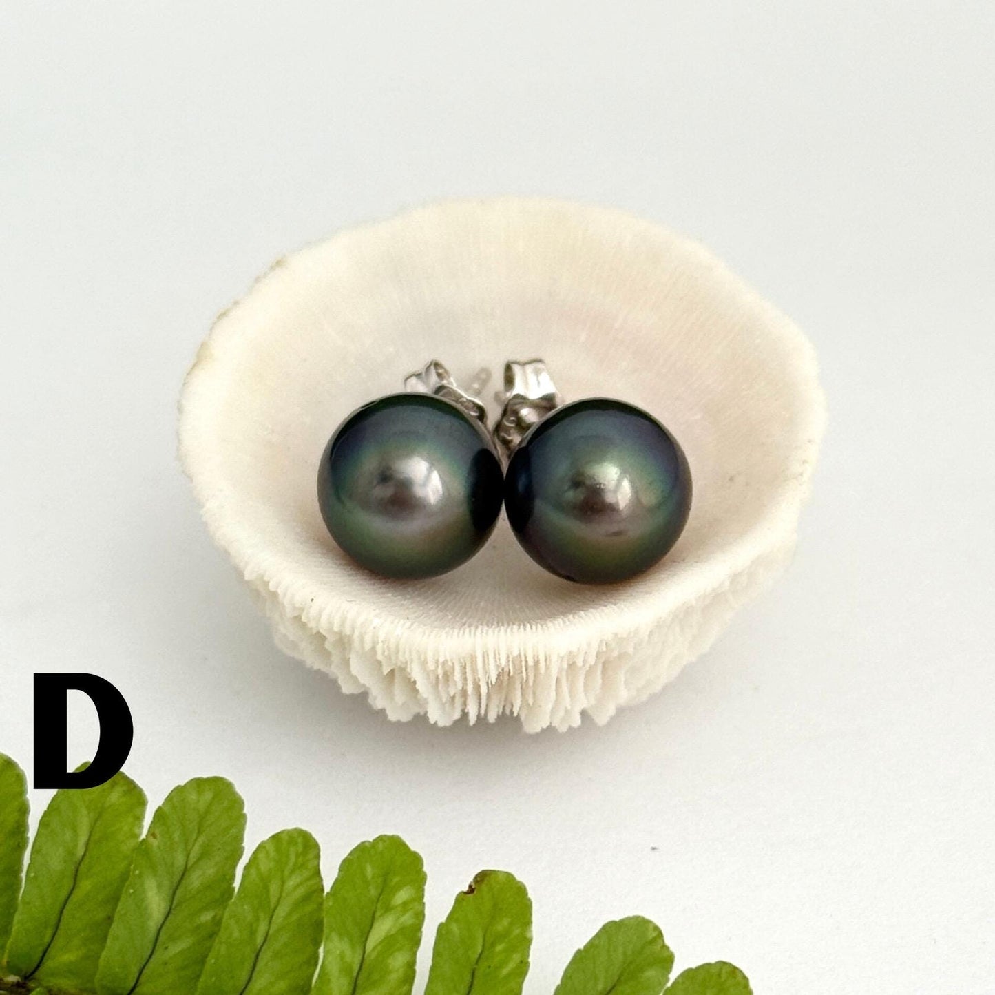 Tahitian pearl stud earrings • classic everyday jewelry • sterling silver