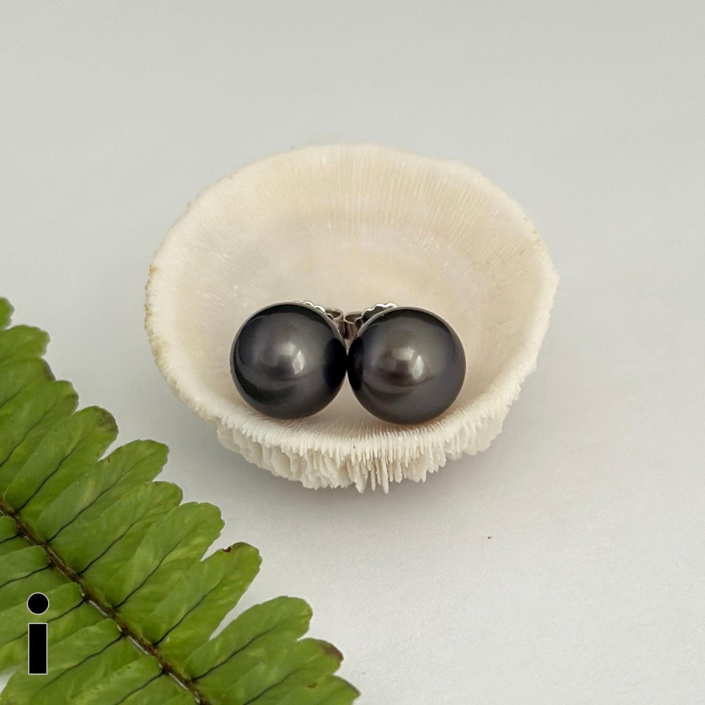 Tahitian pearl stud earrings • casual everyday jewelry • sterling silver