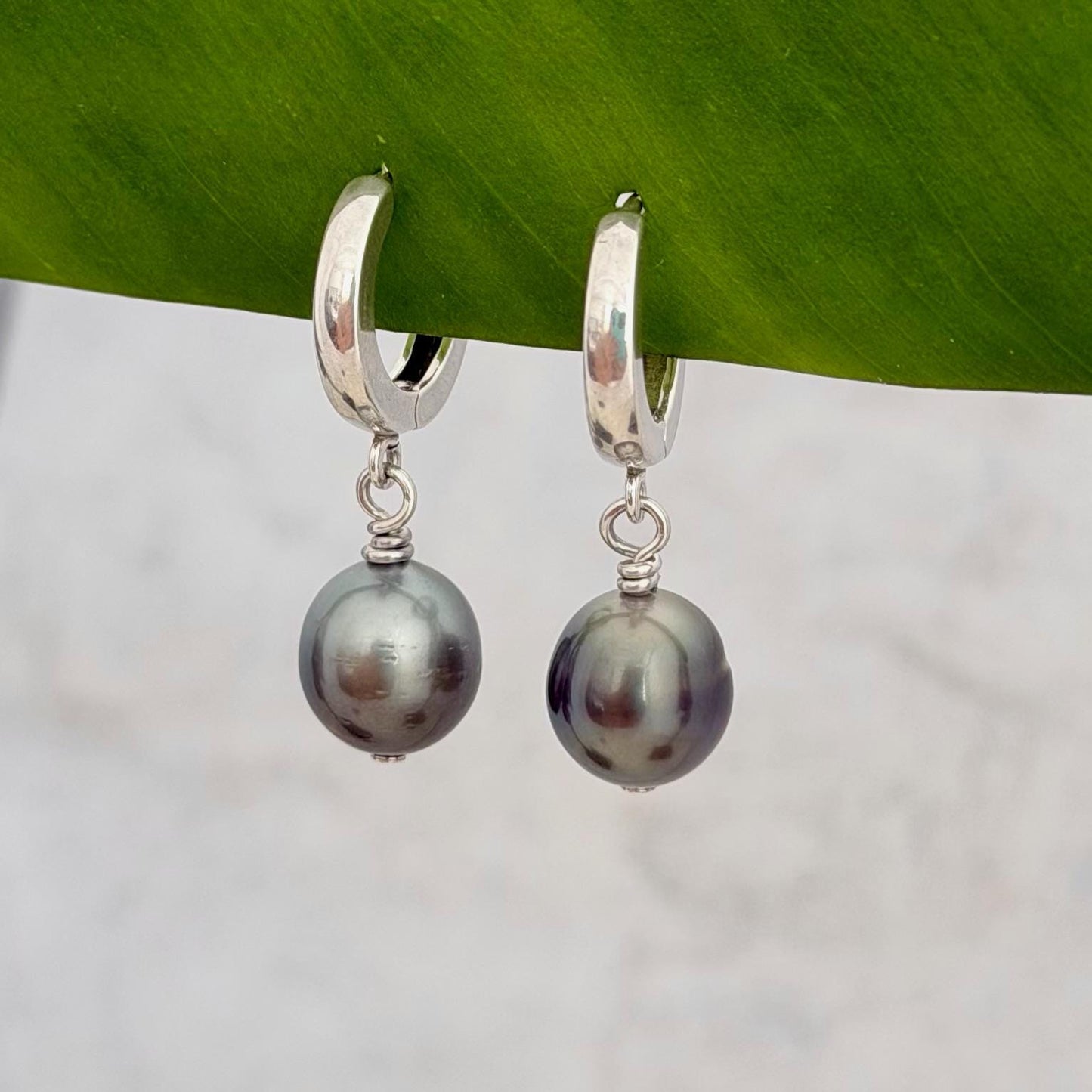 Tahitian pearl huggies • Sterling silver earrings