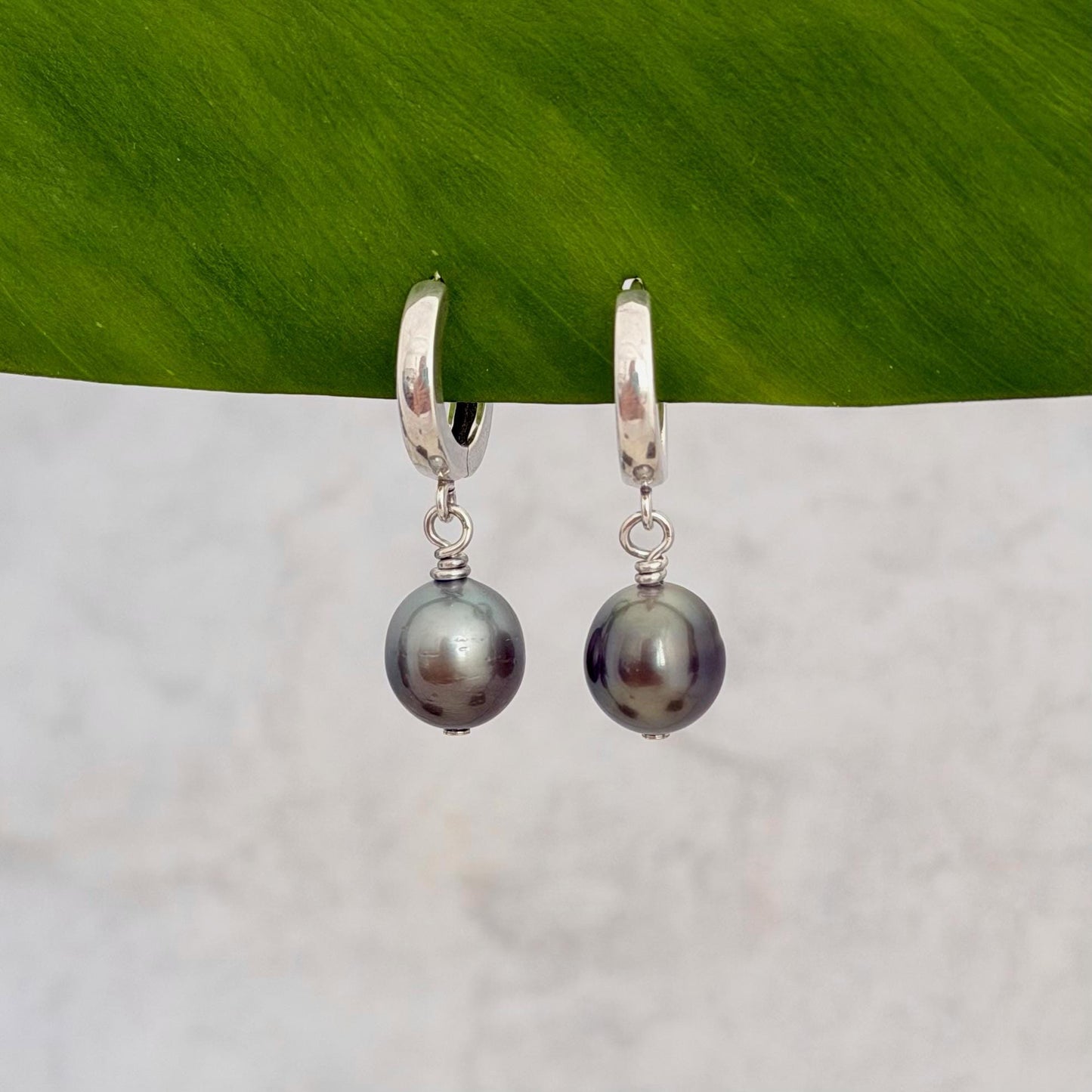 Tahitian pearl huggies • Sterling silver earrings