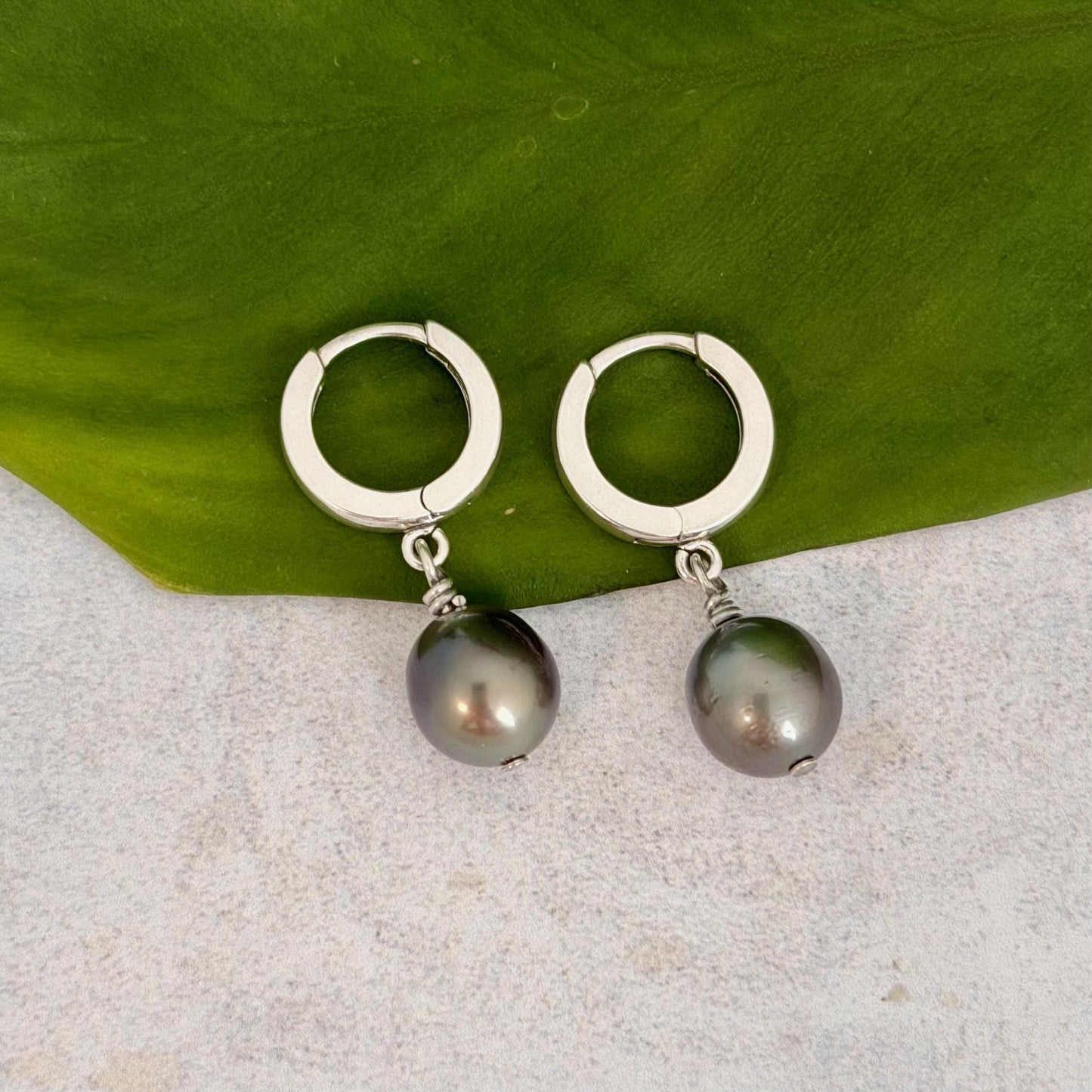 Tahitian pearl huggies • Sterling silver earrings