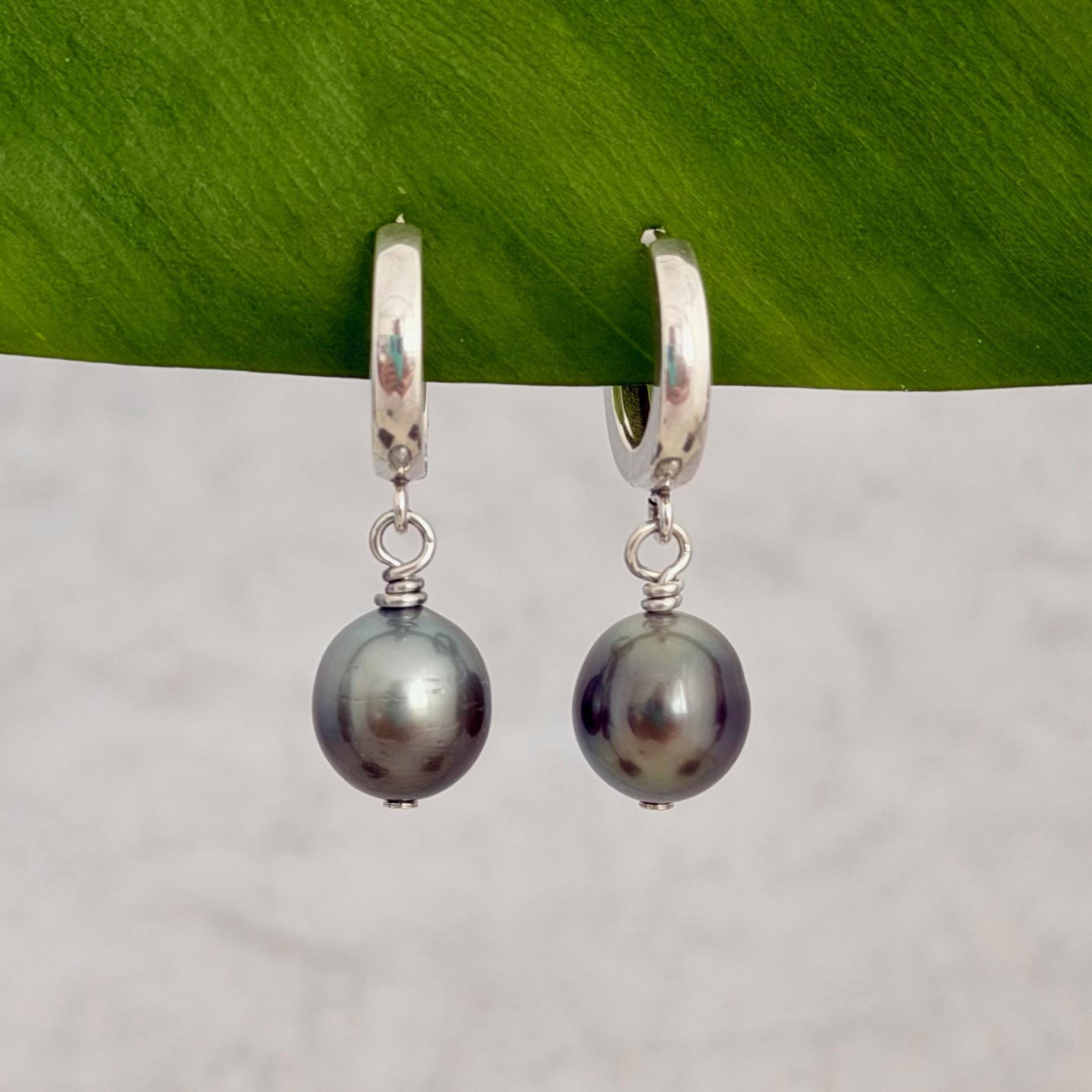 Tahitian pearl huggies • Sterling silver earrings