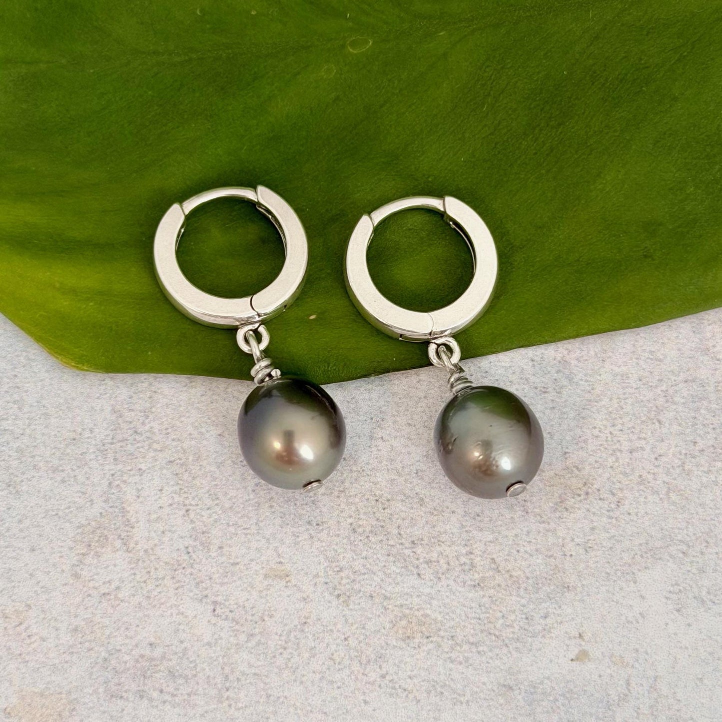 Tahitian pearl huggies • Sterling silver earrings