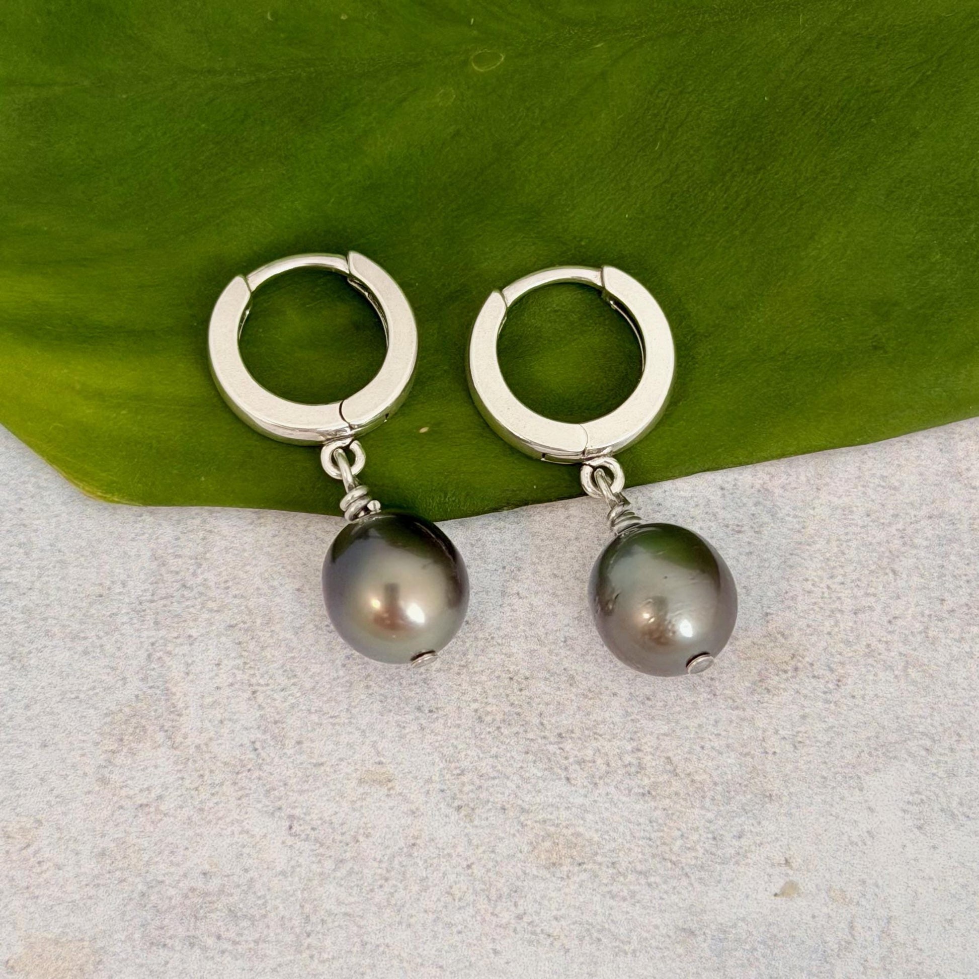 Tahitian pearl huggies • Sterling silver earrings