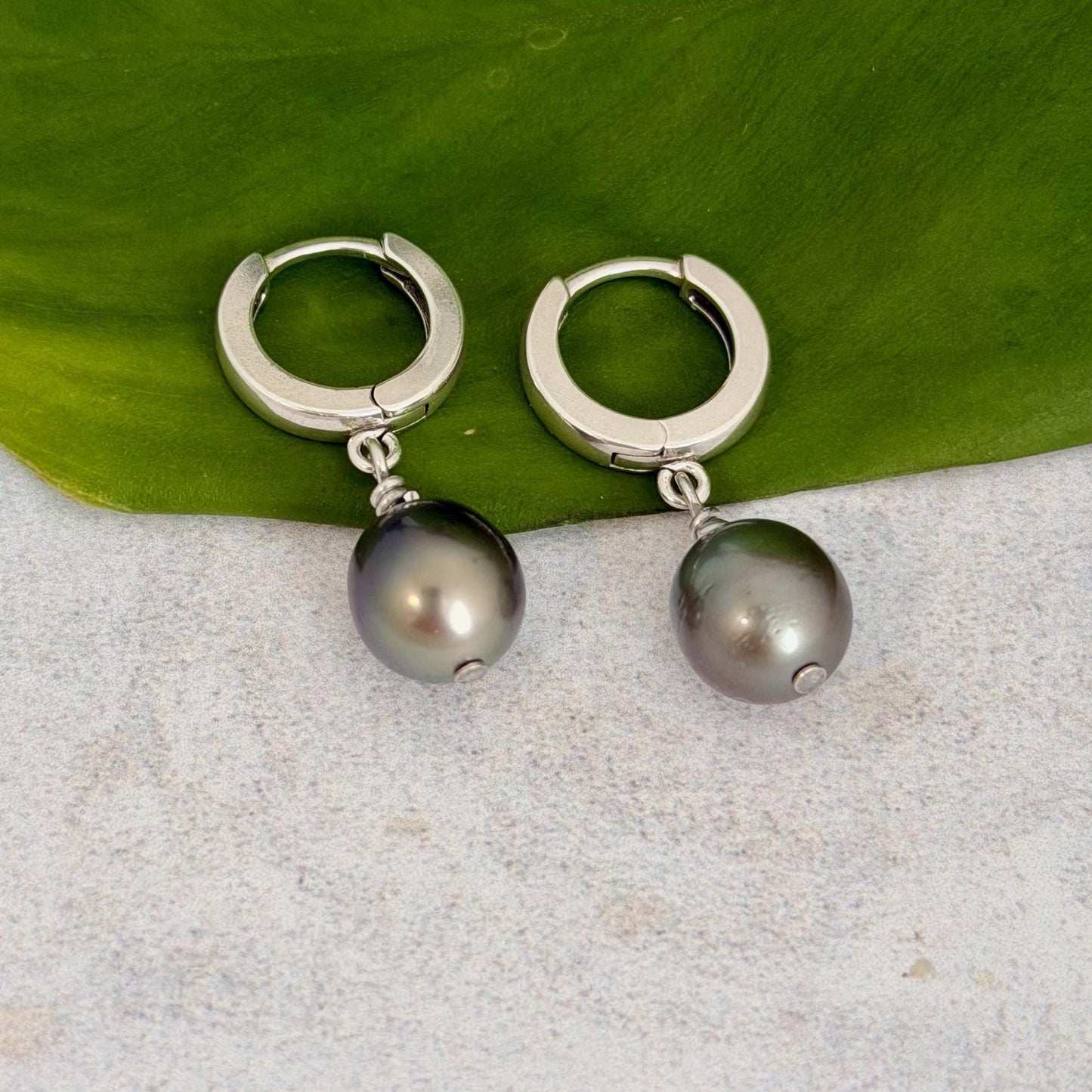 Tahitian pearl huggies • Sterling silver earrings