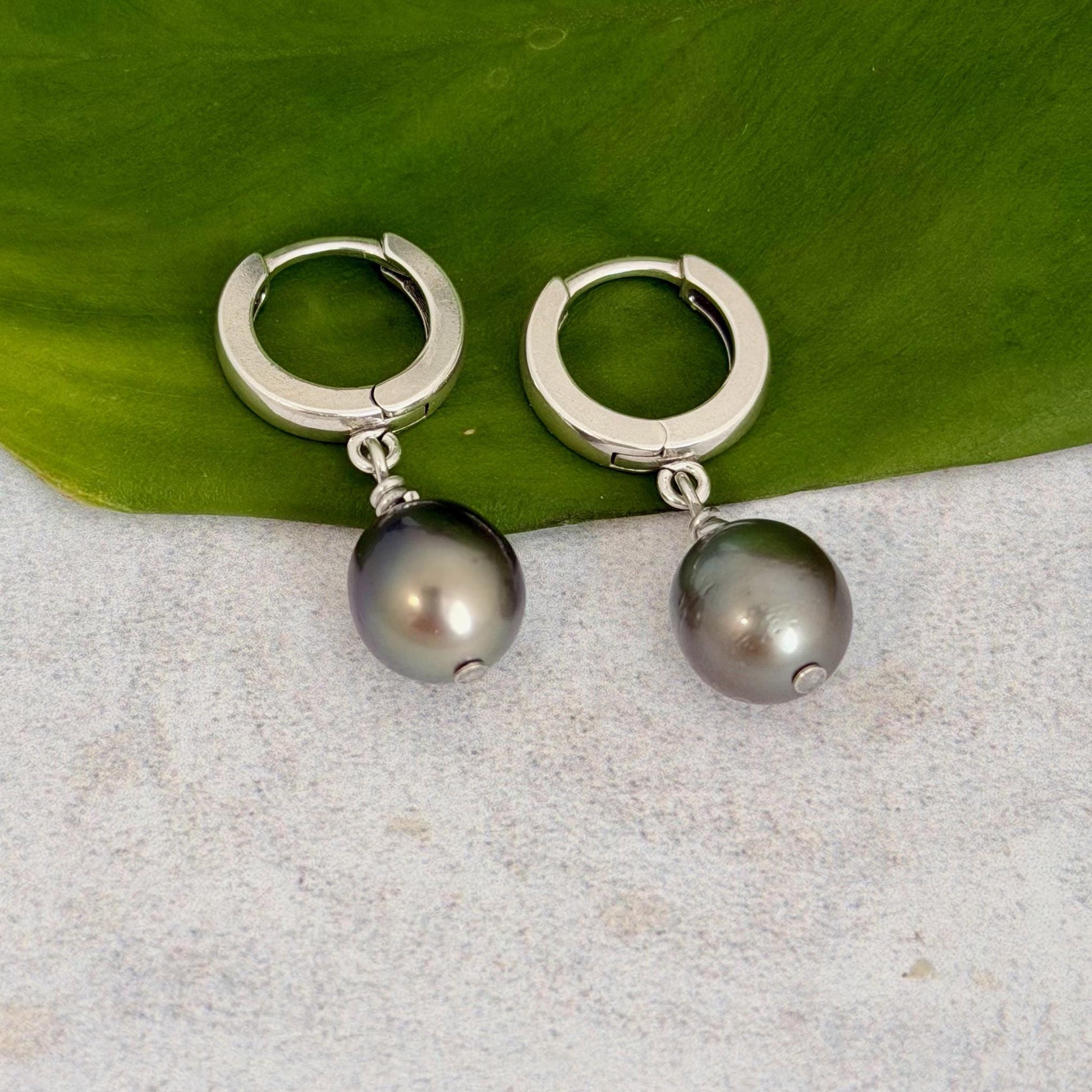 Tahitian pearl huggies • Sterling silver earrings