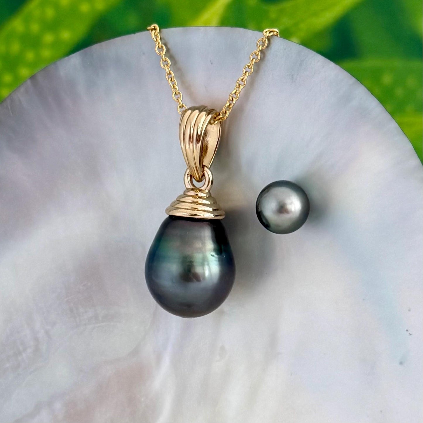 extra large tahitian pearl pendant with peacock blue pink and green overtones