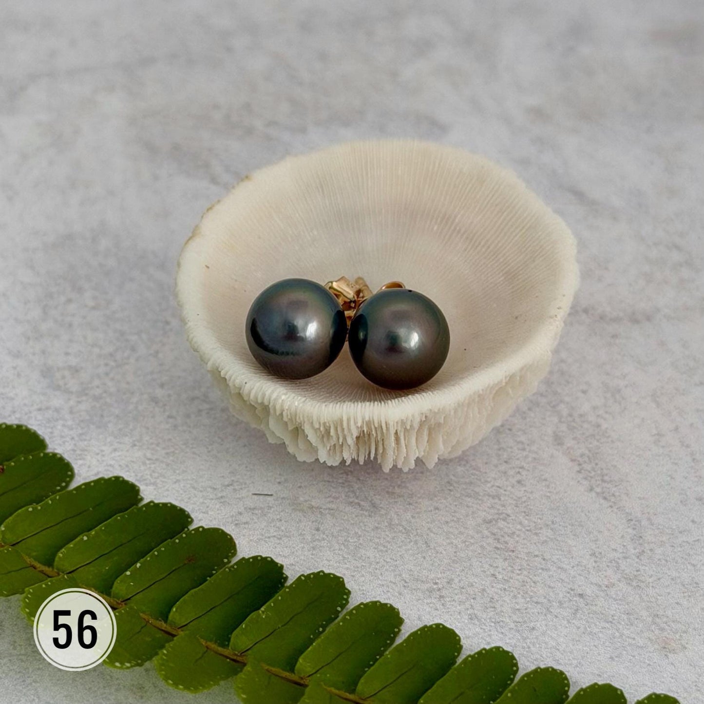 Tahitian pearl stud earrings • classic everyday jewelry • gold vermeil and sterling silver