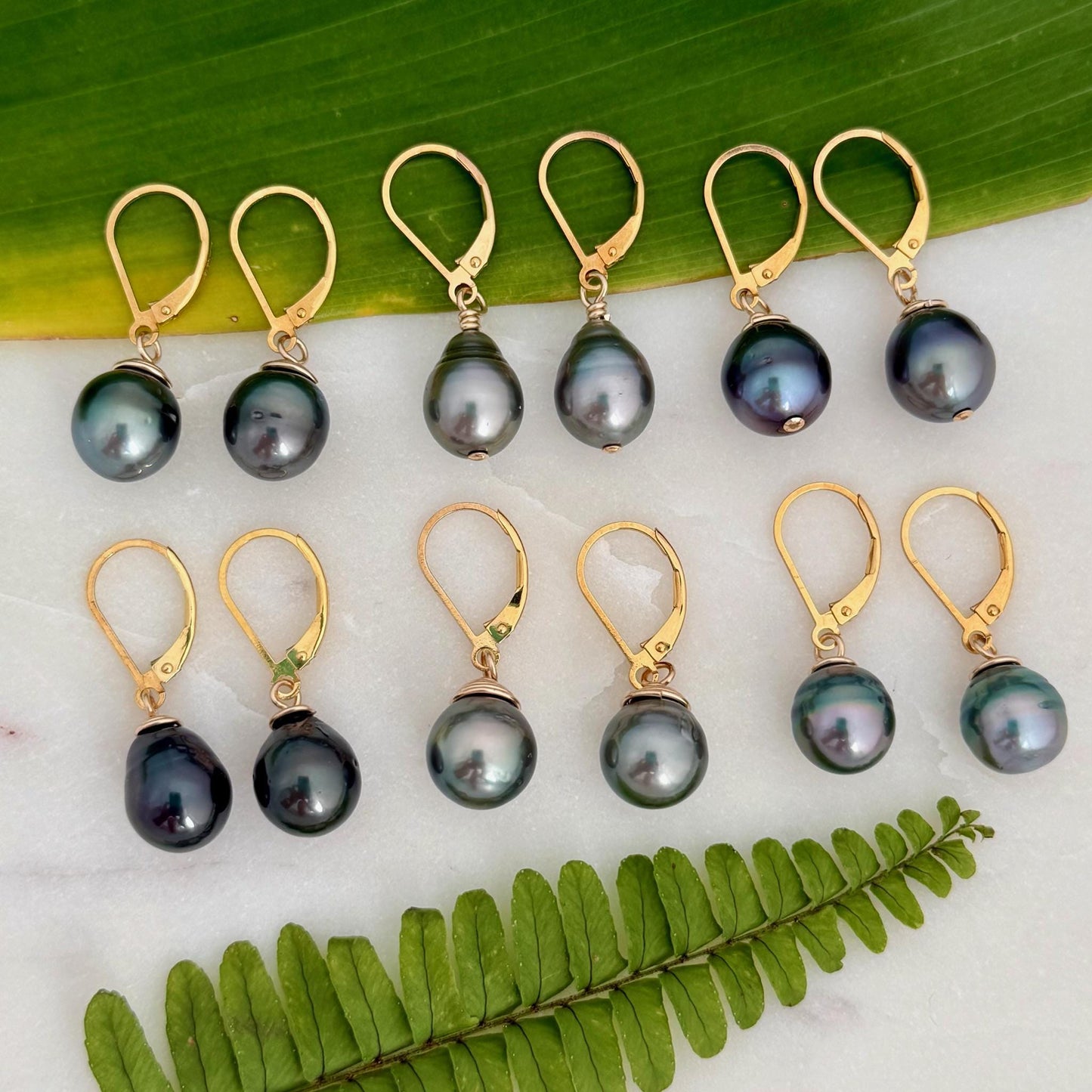 Tahitian Pearl Leverback Earrings • Gold filled dangle jewelry