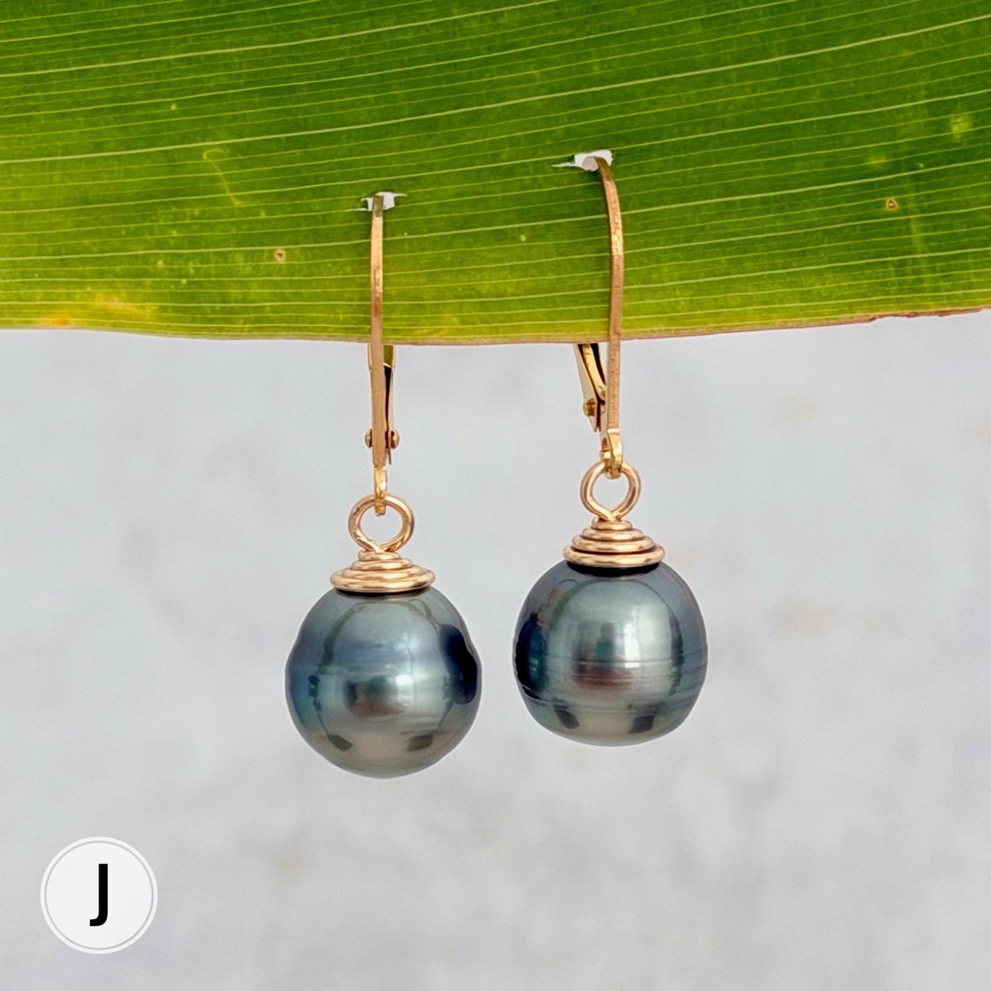 Tahitian Pearl Leverback Earrings • Gold filled dangle jewelry
