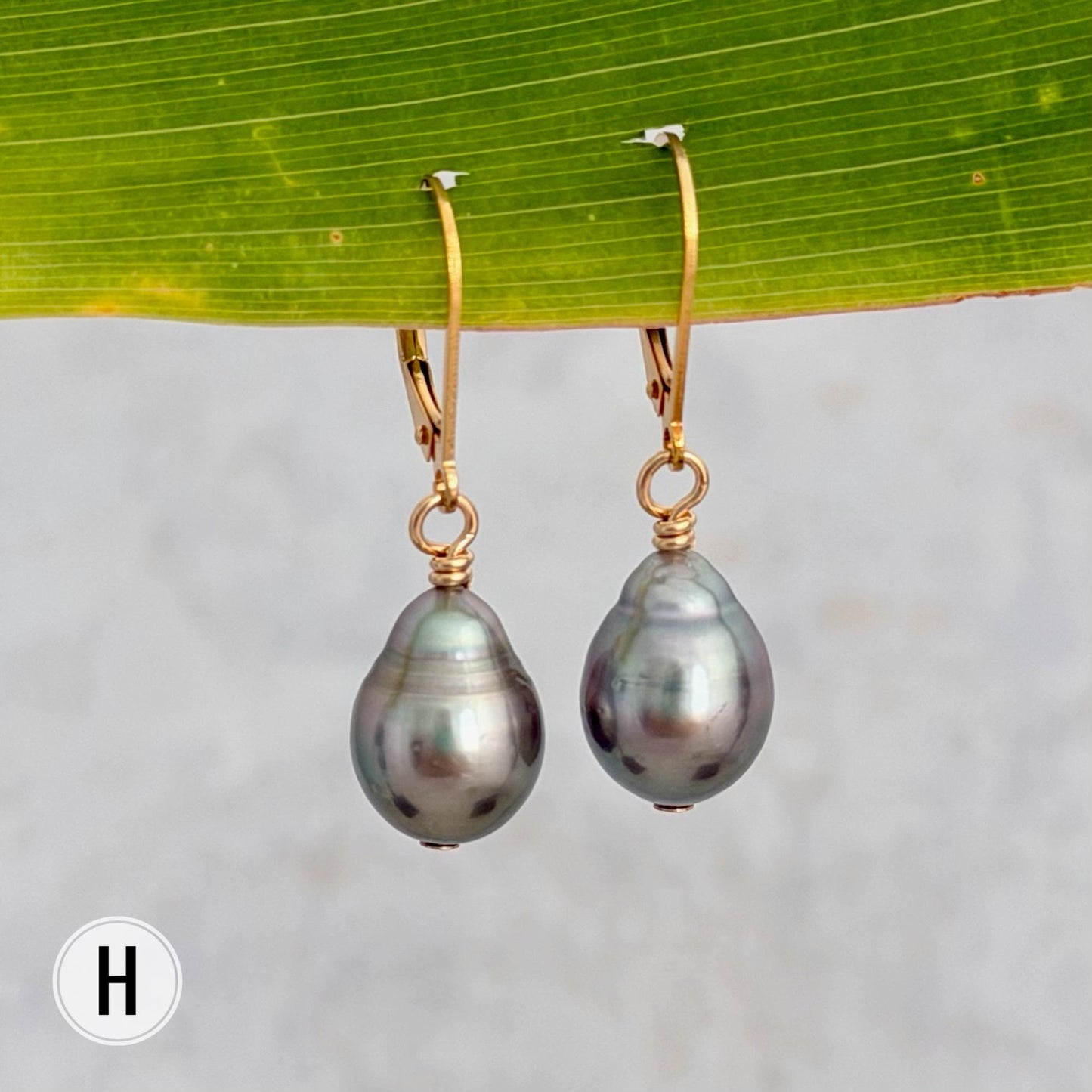 Tahitian Pearl Leverback Earrings • Gold filled dangle jewelry