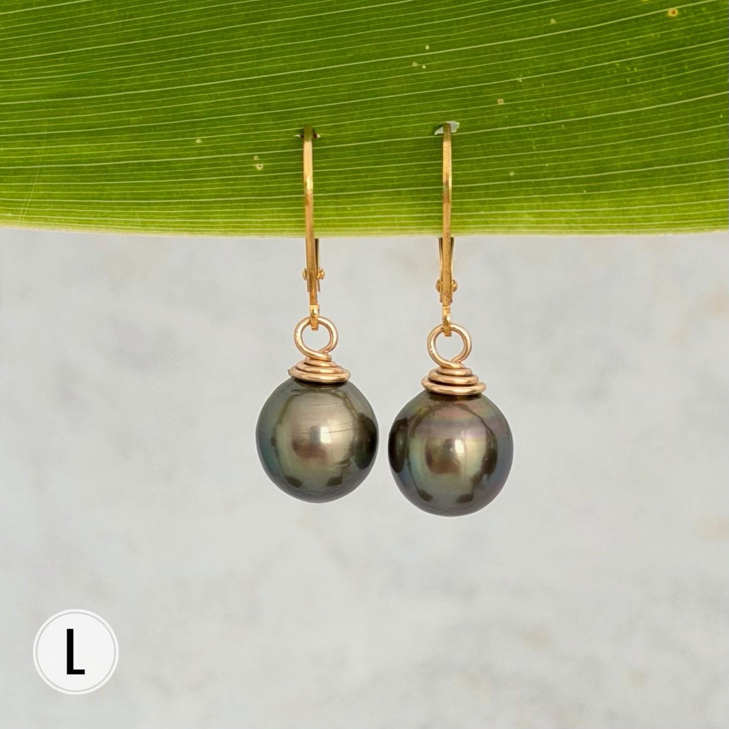 Tahitian Pearl Leverback Earrings • Gold filled dangle jewelry