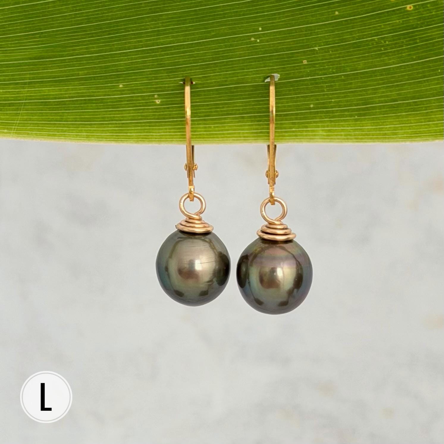 Tahitian Pearl Leverback Earrings • Gold filled dangle jewelry