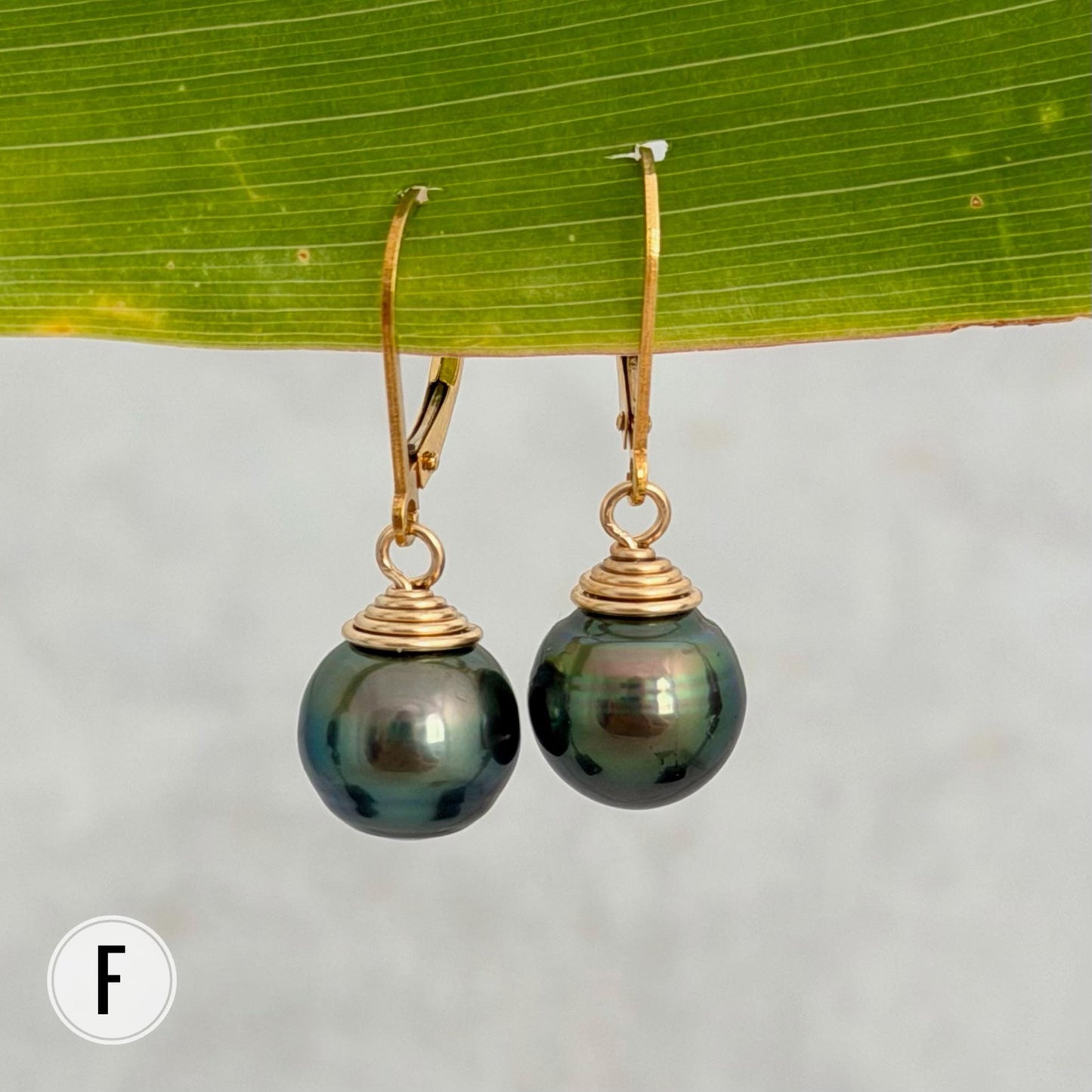 Tahitian Pearl Leverback Earrings • Gold filled dangle jewelry