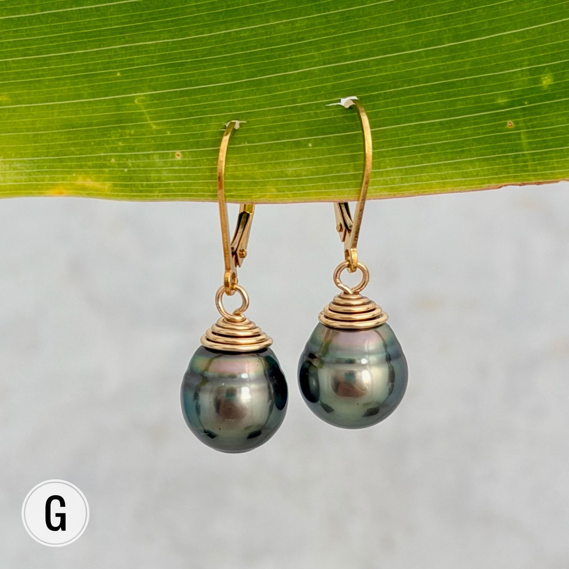 Tahitian Pearl Leverback Earrings • Gold filled dangle jewelry