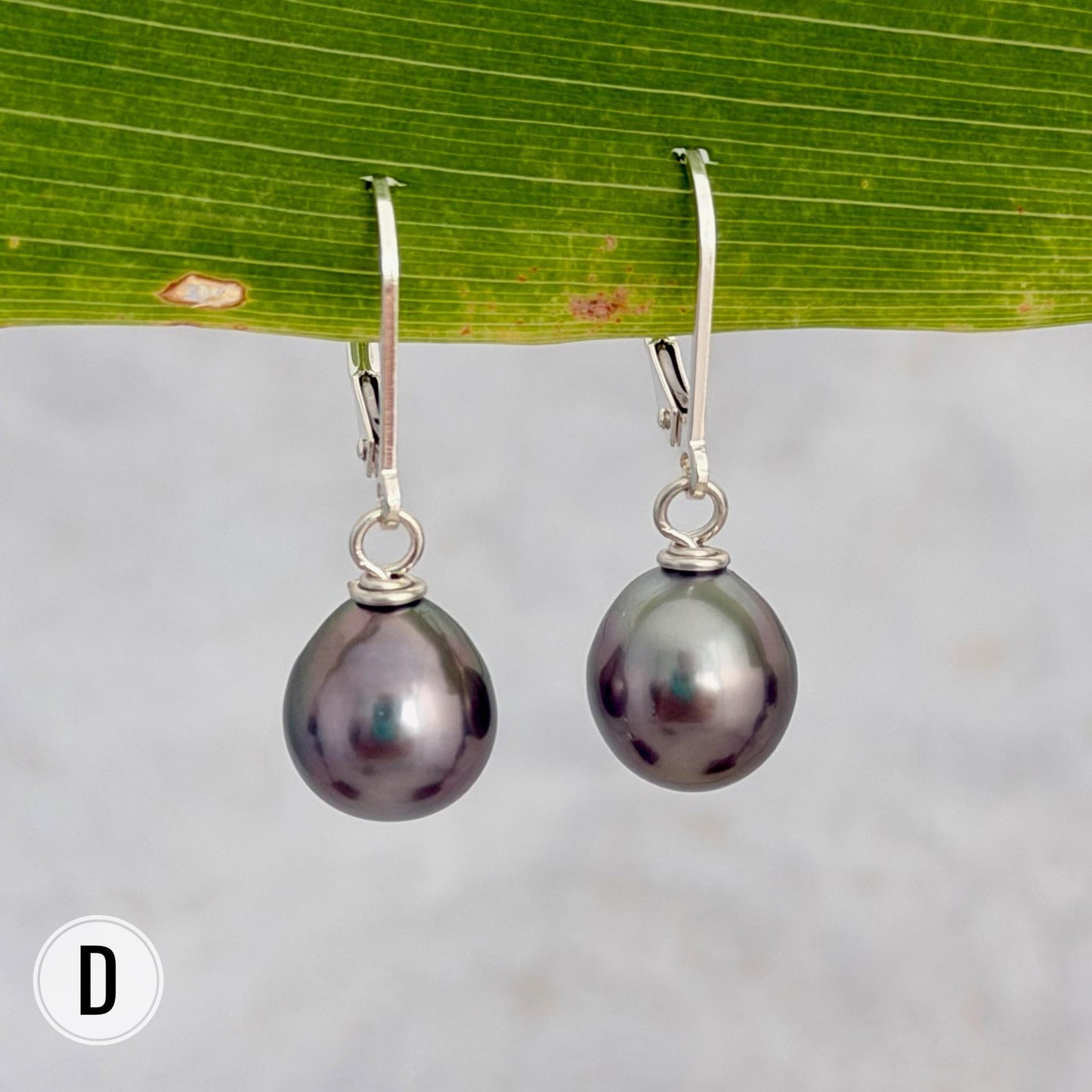 DOORBUSTER Tahitian Pearl Leverback Earrings • Sterling silver dangle jewelry