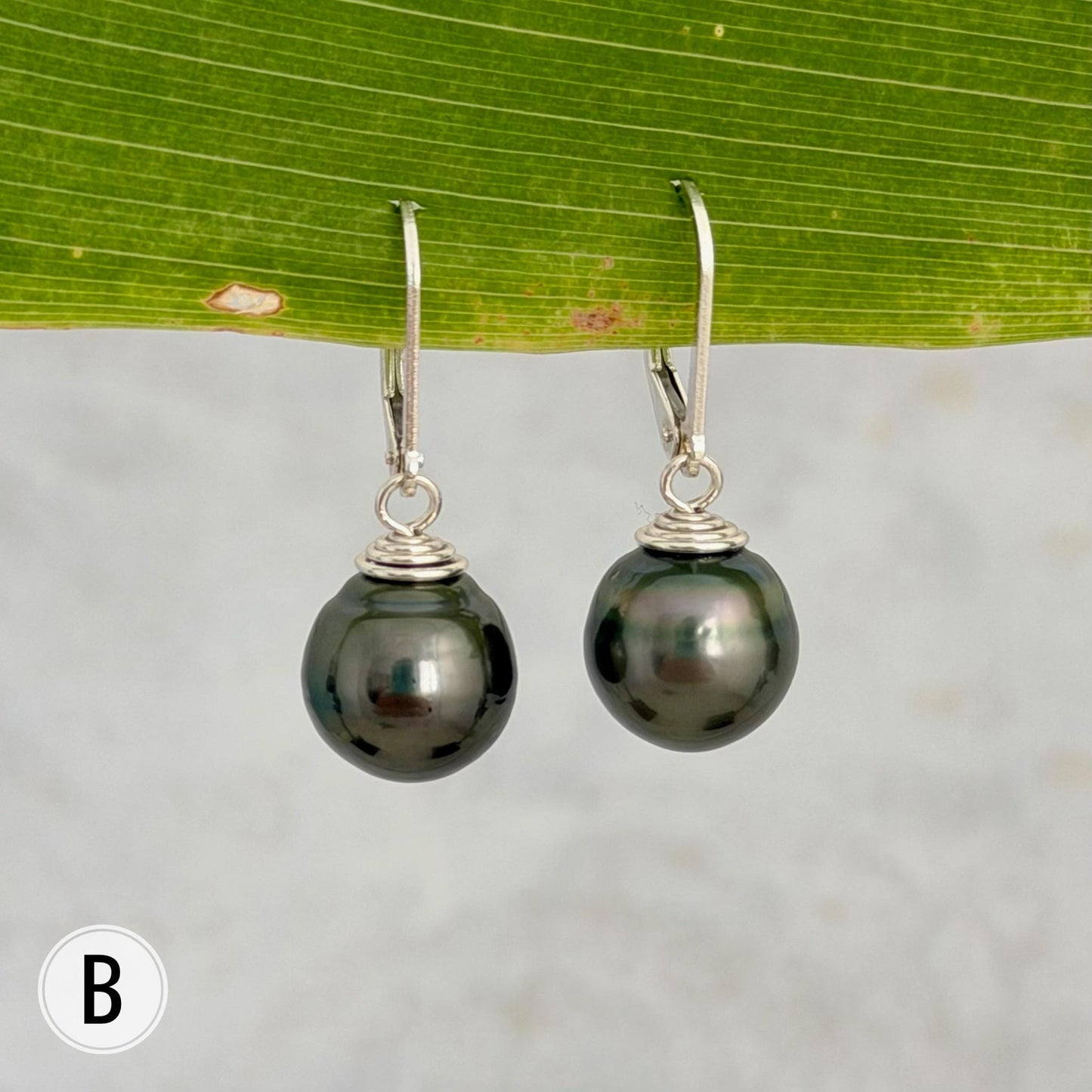 DOORBUSTER Tahitian Pearl Leverback Earrings • Sterling silver dangle jewelry