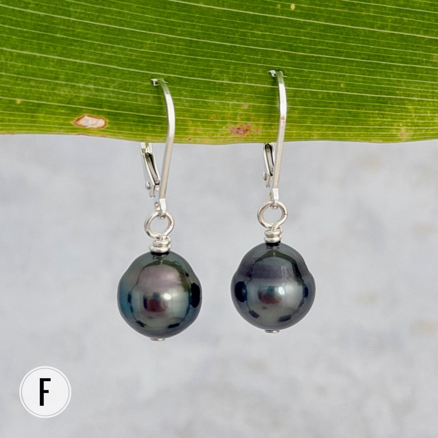 DOORBUSTER Tahitian Pearl Leverback Earrings • Sterling silver dangle jewelry