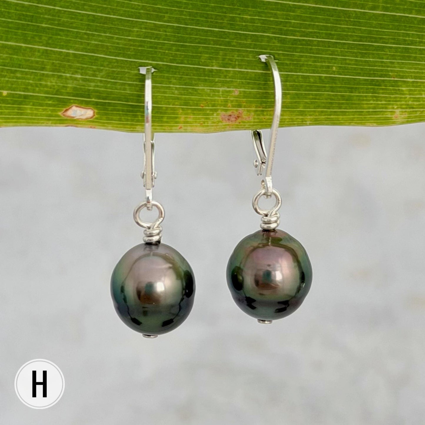 DOORBUSTER Tahitian Pearl Leverback Earrings • Sterling silver dangle jewelry