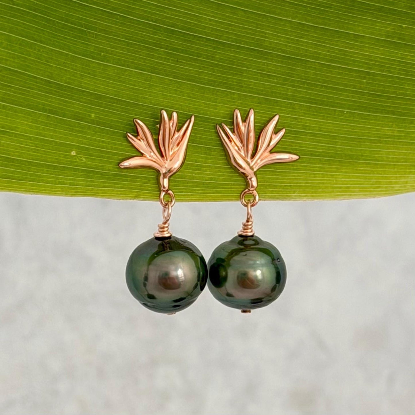 Tahitian Pearl Earrings • Rose Gold Bird of Paradise Studs • Hawaiian Jewelry Gift